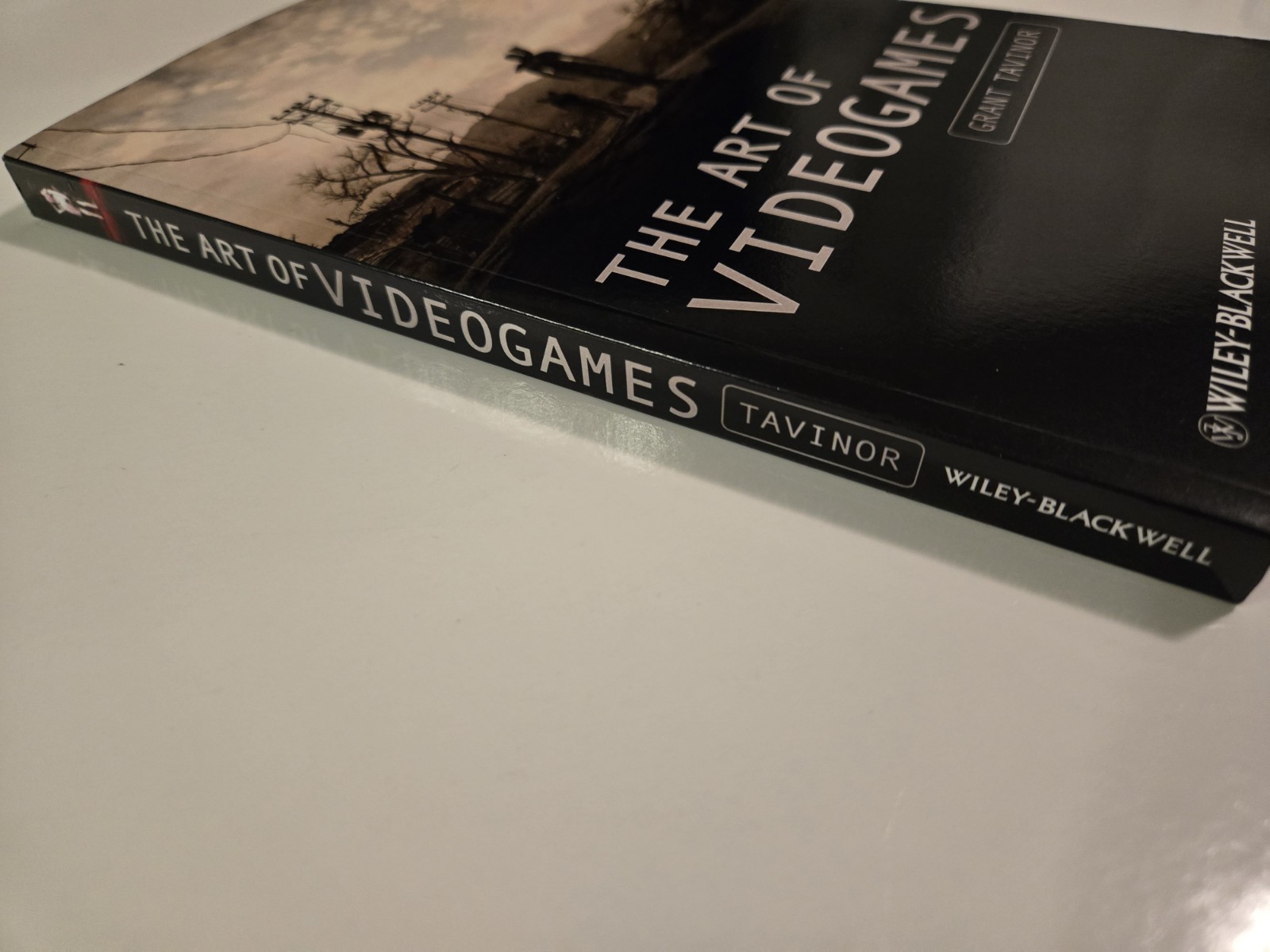 The Art of Videogames by Grant Tavinor (English) Paperback Book VG 2009 1st