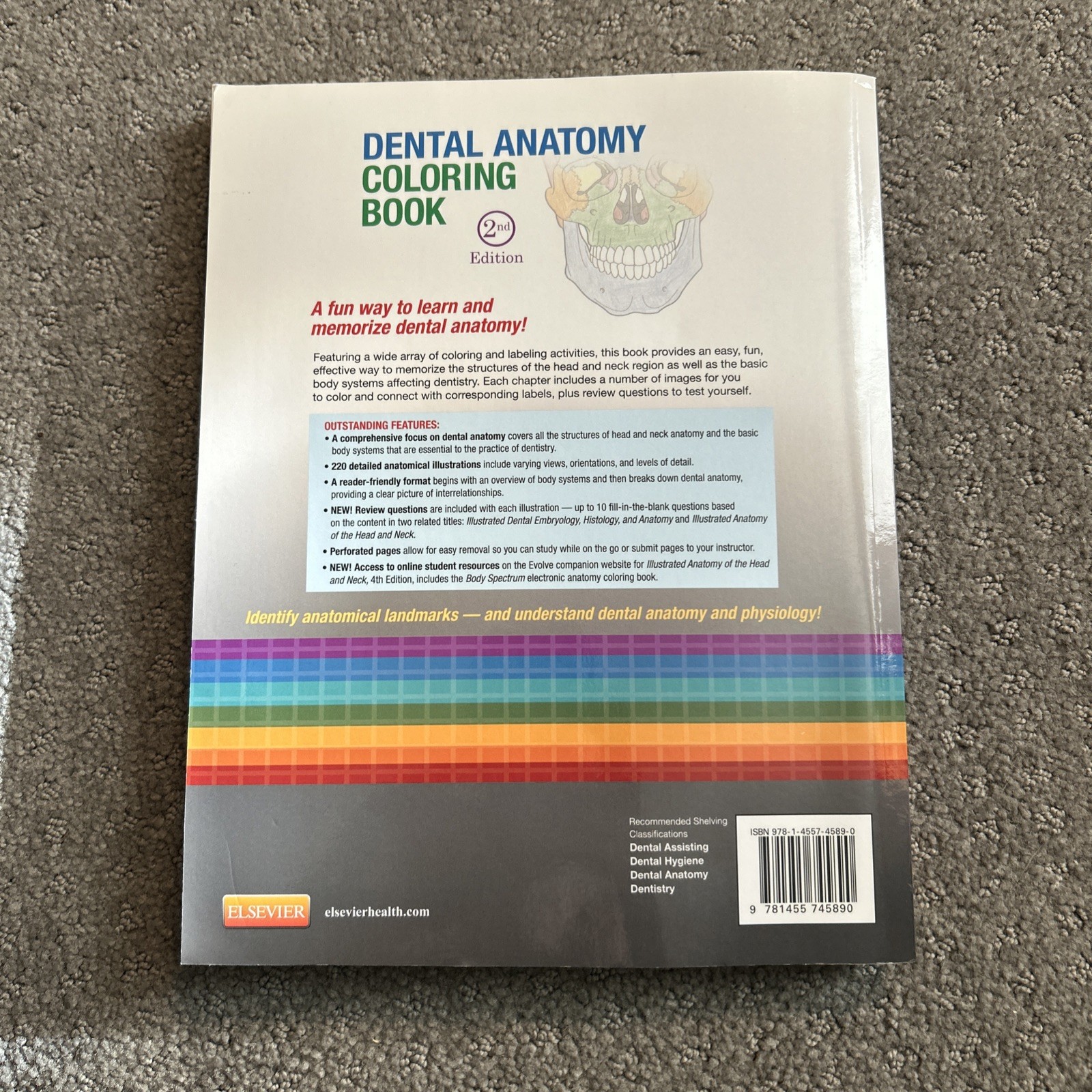 Dental Anatomy Coloring Book by Margaret J. Fehrenbach 2013, Trade Paperback