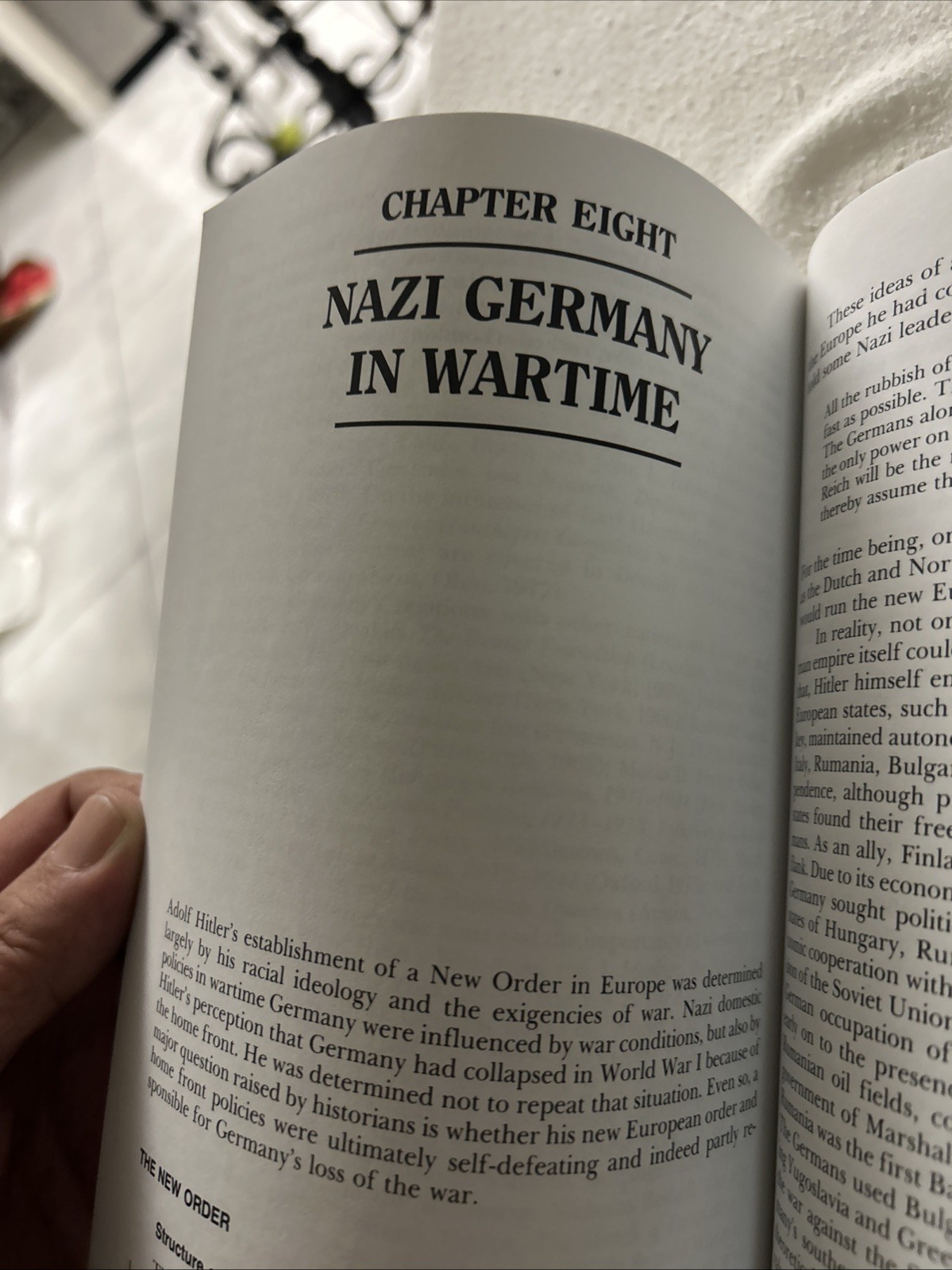 Hitler and Nazi Germany: A History by Spielvogel, Jackson P2