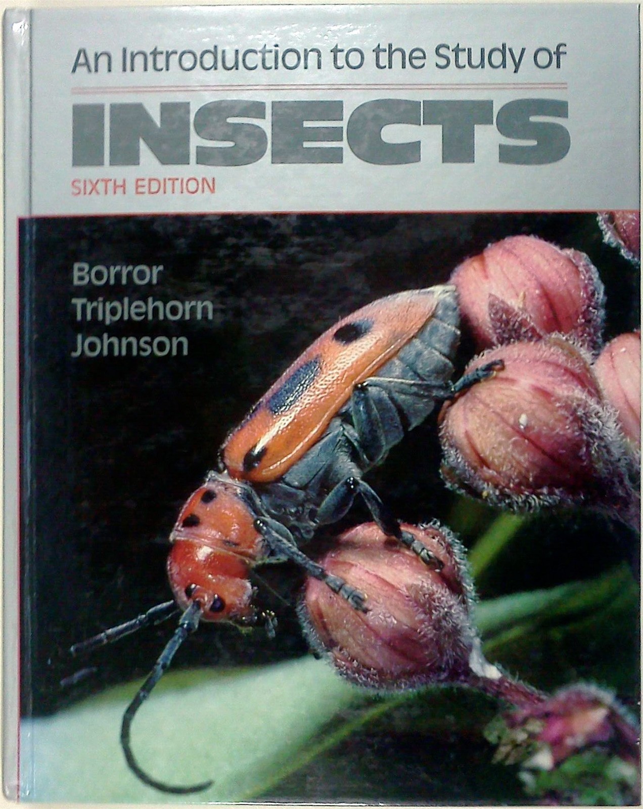 Introduction to the Study of Insects, 6th Edition – Borror, Donald J.|Triple…