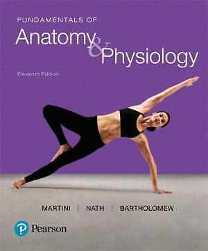 Fundamentals of Anatomy & – Hardcover, by Martini Frederic Nath – Good
