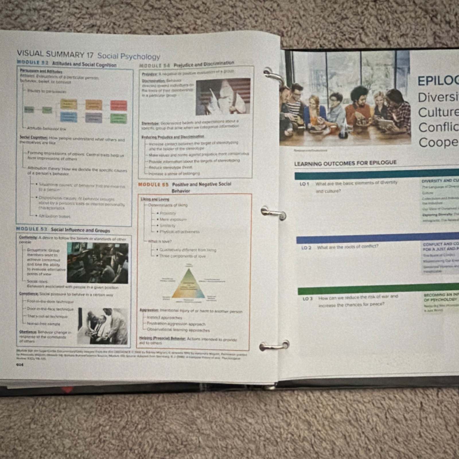 Unused Loose-Leaf Understanding Psychology 15e Textbook