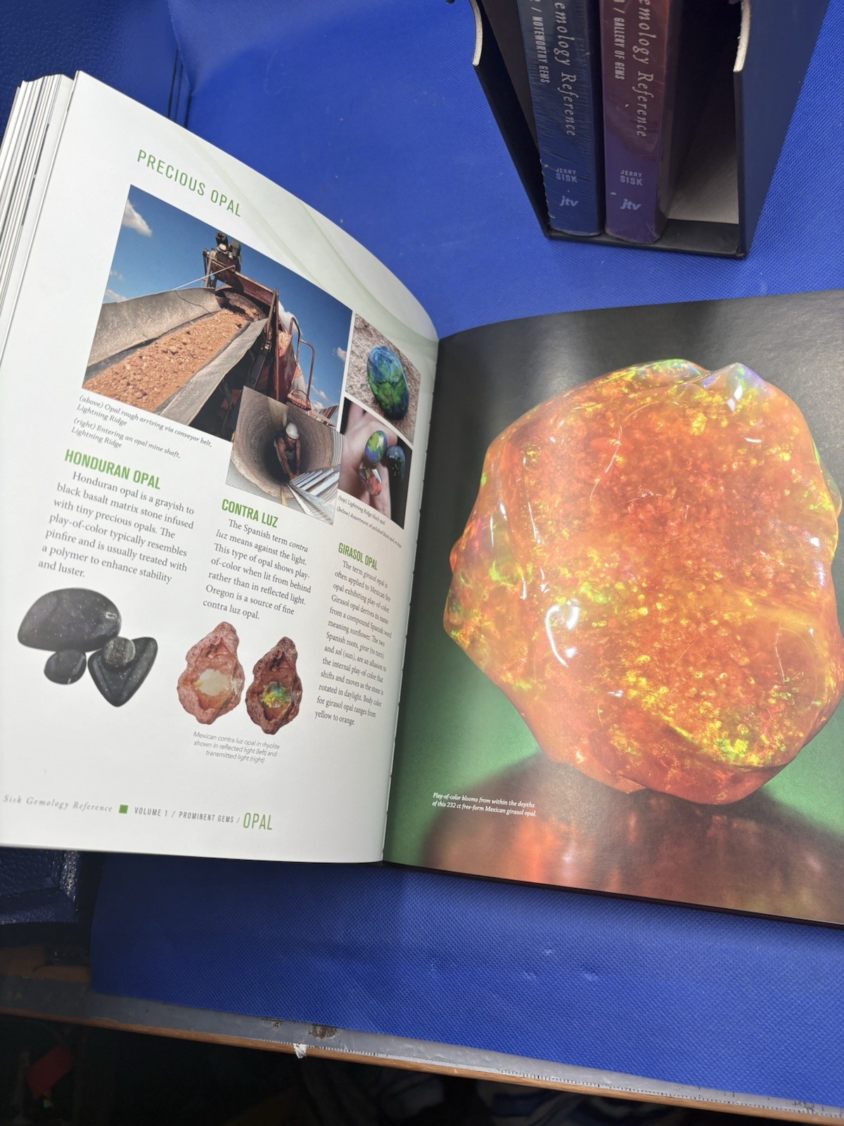 The Sisk Gemology Reference 3 Volume Set Jerry Sisk 2016 HC Complete w/ Case