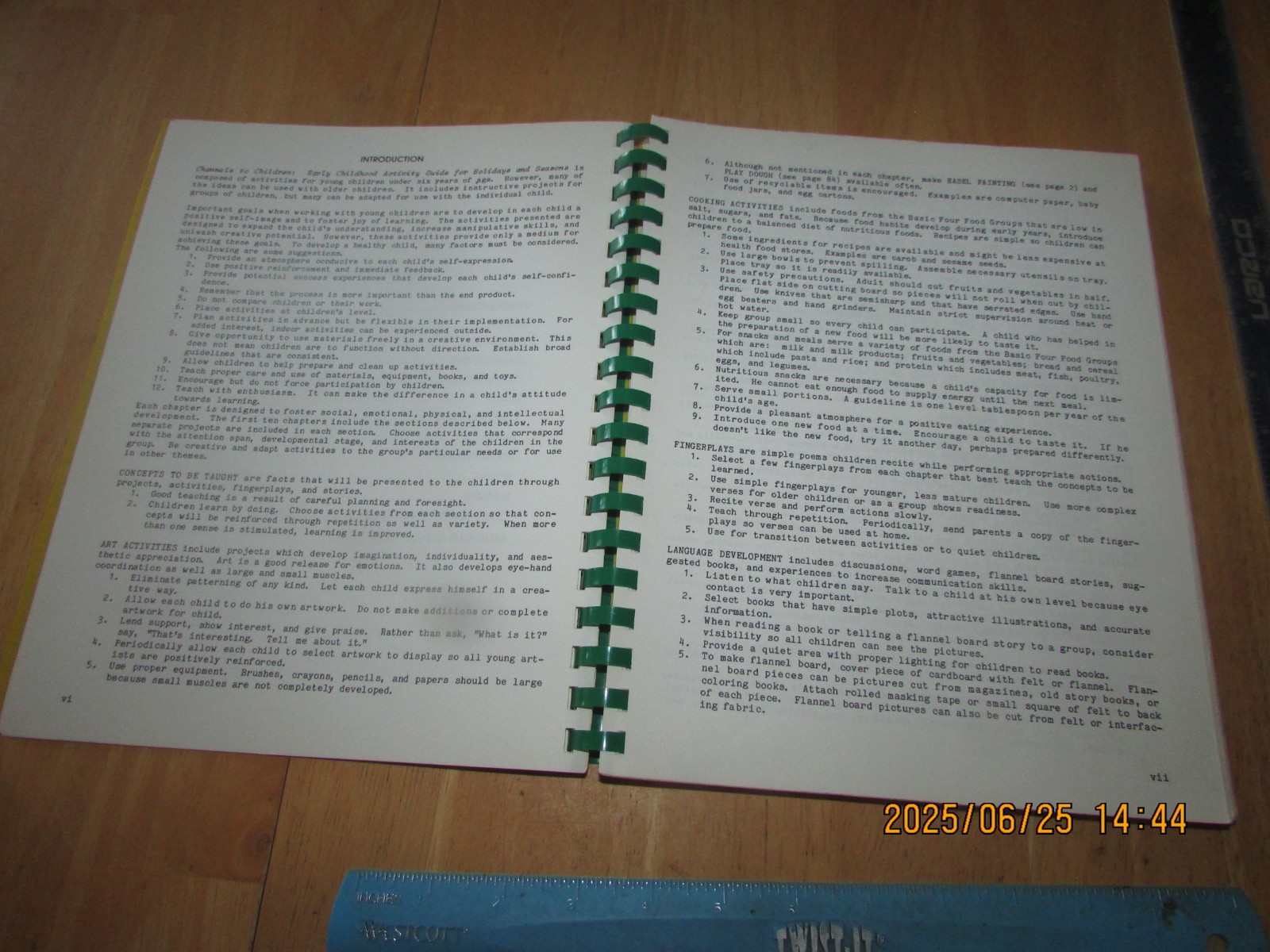 Early Childhood Activity Guide for Holidays and Seasons by Carol Beckman
