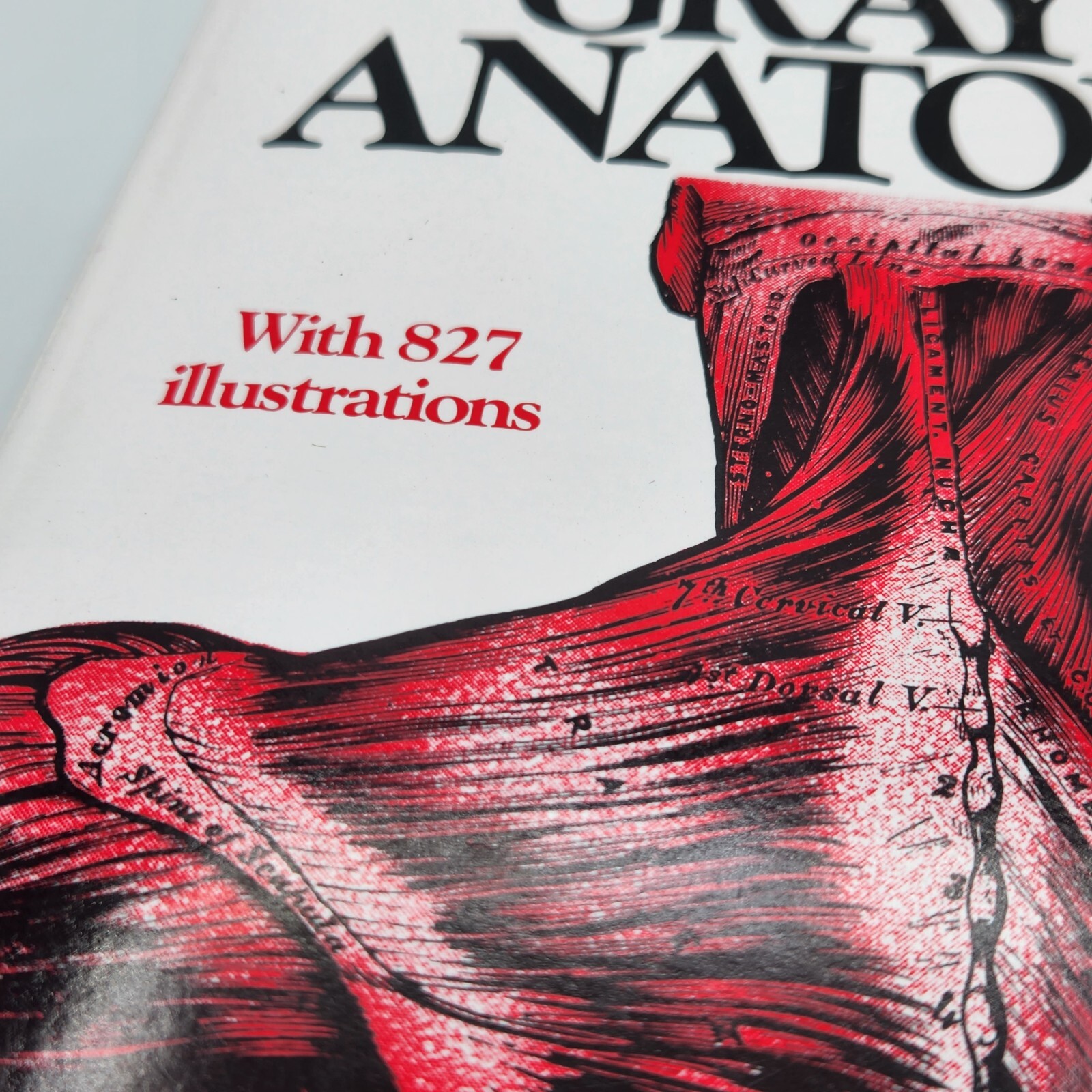 Gray’s Anatomy The Unabridged Running Press Edition Of The American Classic EXUC