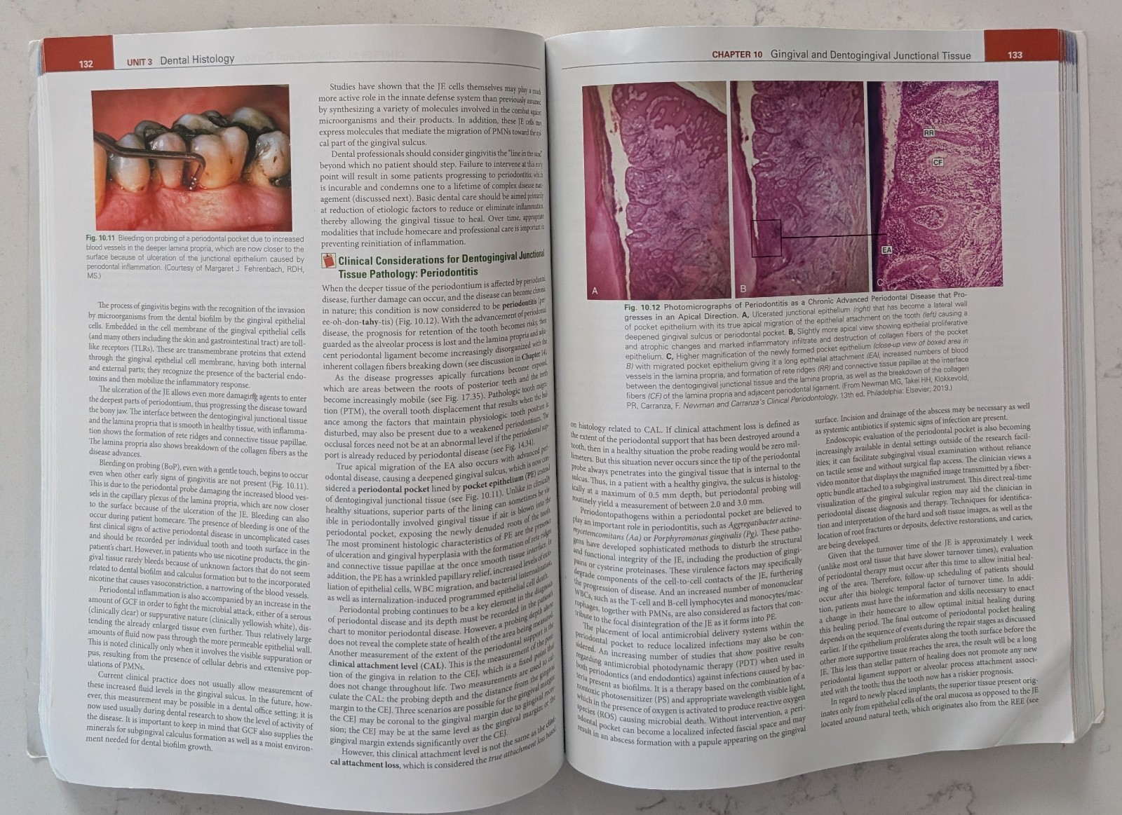 Illustrated Dental Embryology, Histology, and Anatomy by Margaret J. Fehrenbach