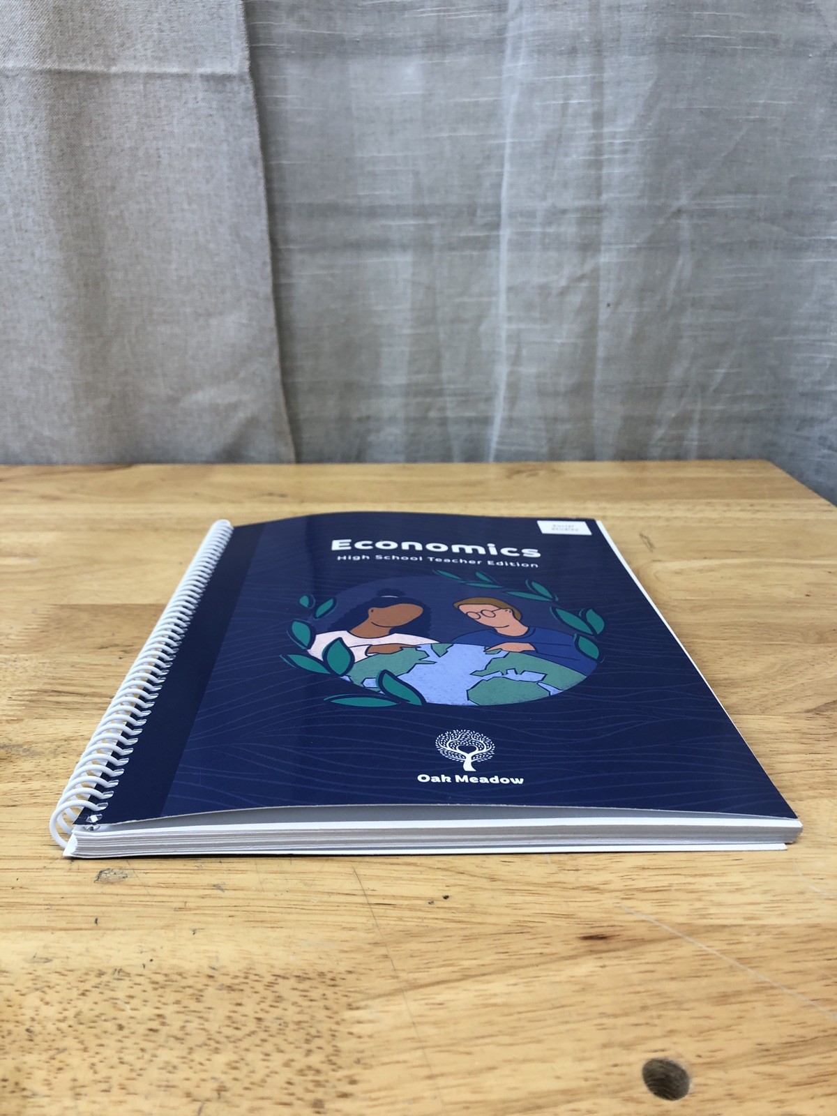 Oak Meadow High School Economics Teacher Edition + The Economics Book Textbook