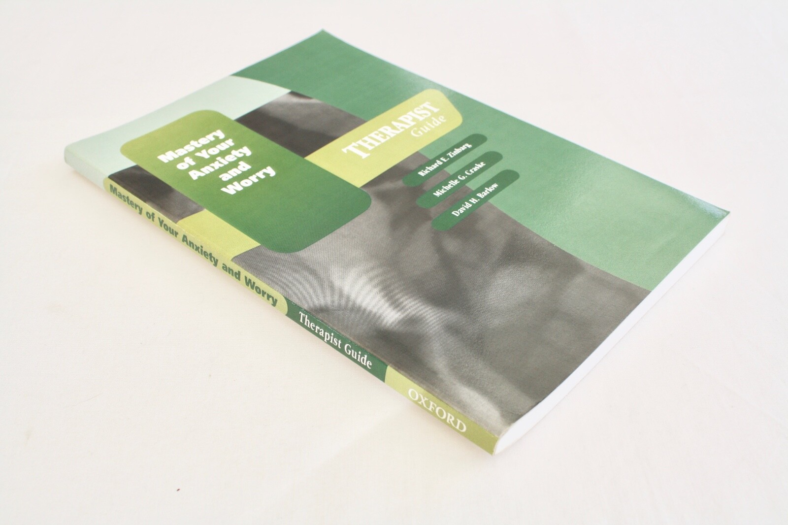 Mastery of Your Anxiety and Worry (MAW): Therapist Guide by David H. Barlow,…