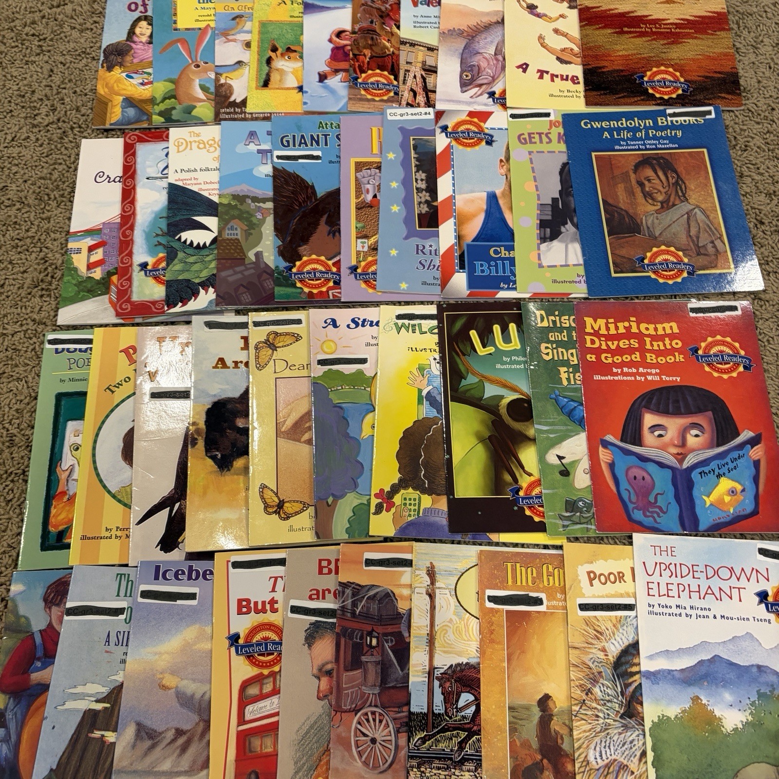 Houghton Mifflin Leveled Readers Level 3 Lot of 65 – 2004