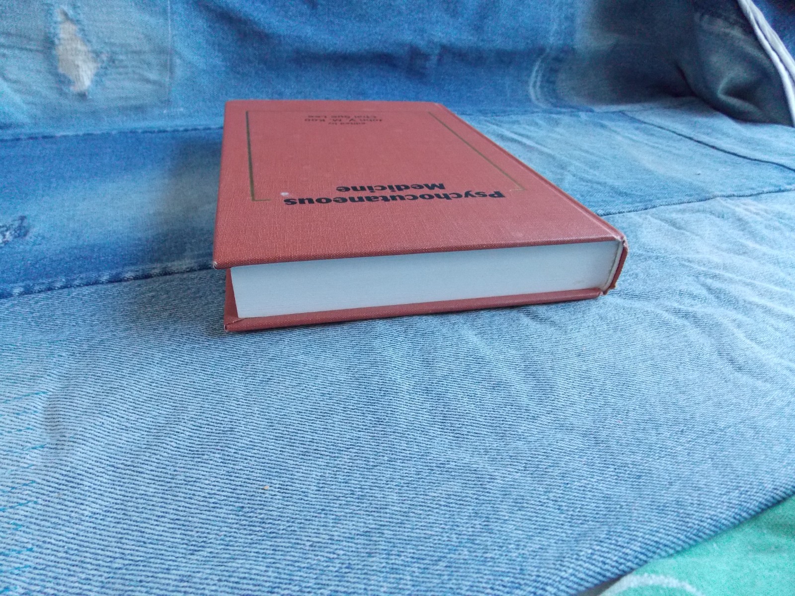 Psychocutaneous Medicine Basic & Clinical Dermatology by John Koo & Chai Lee HC
