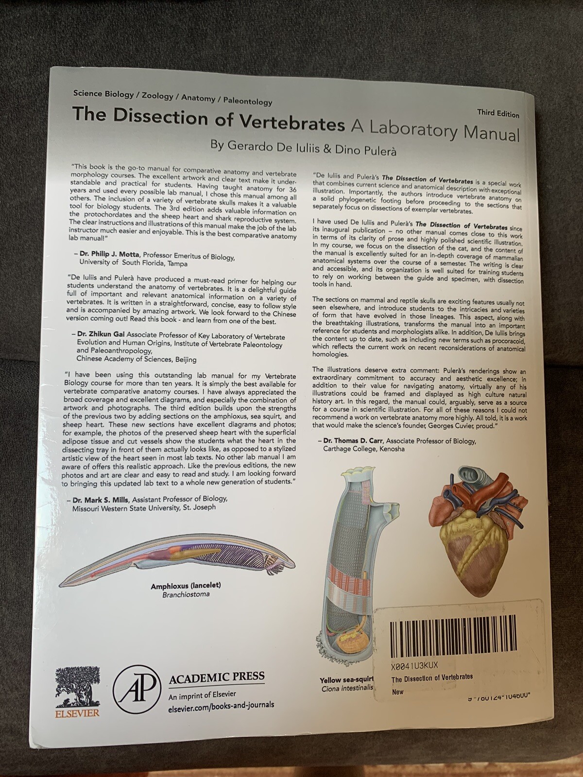 The Dissection of Vertebrates by Dino Pulerà and Gerardo De Iuliis (2019, Trade