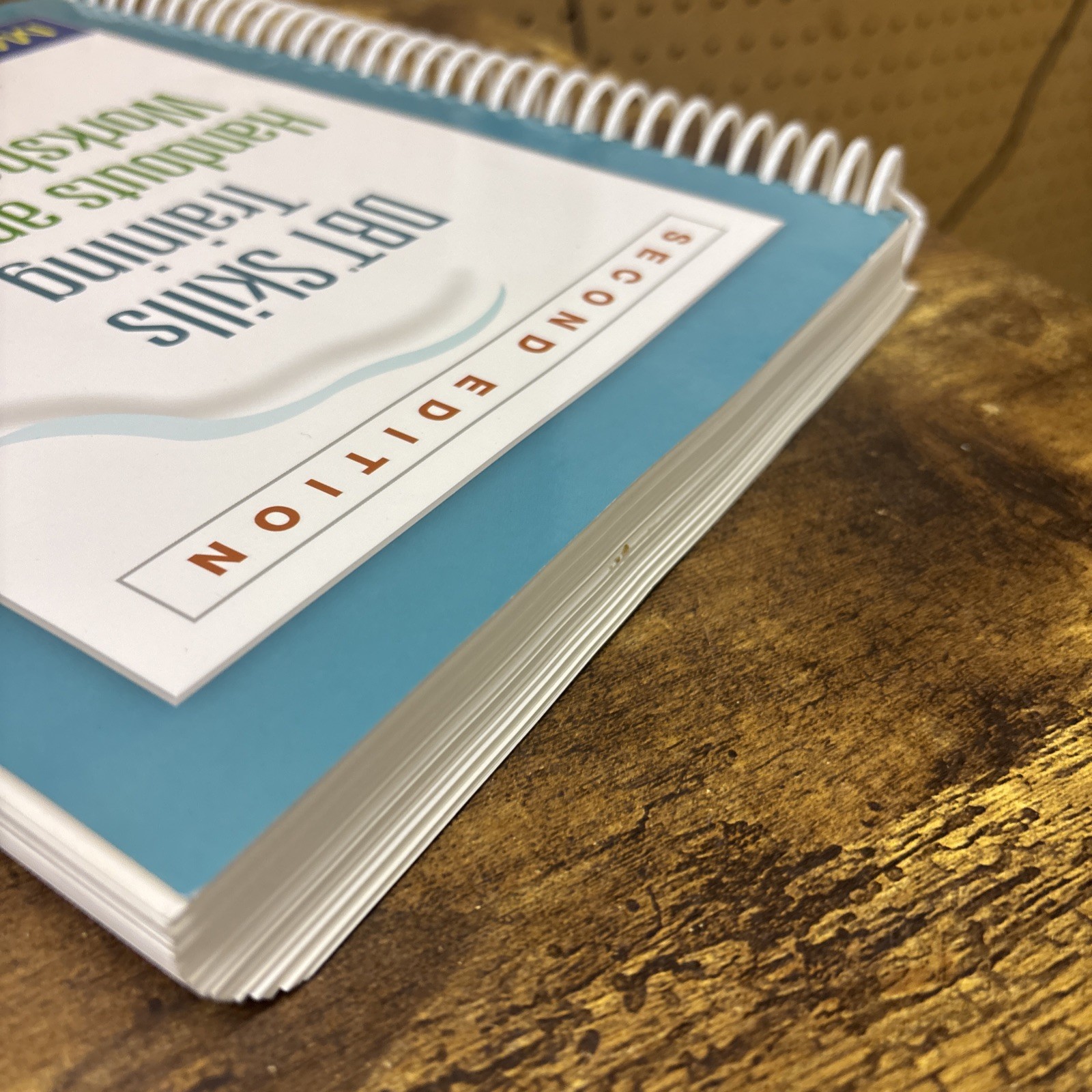 DBT Skills Training Handouts and Worksheets by Marsha M. Linehan (2014, Trade…