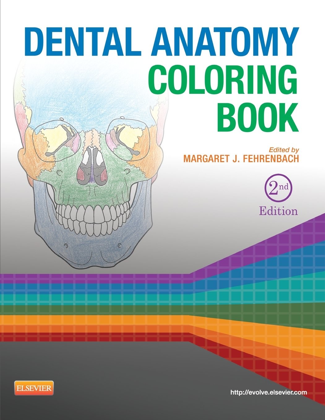 Dental Anatomy Coloring Book – paperback Fehrenbach RDH MS, Margaret J.