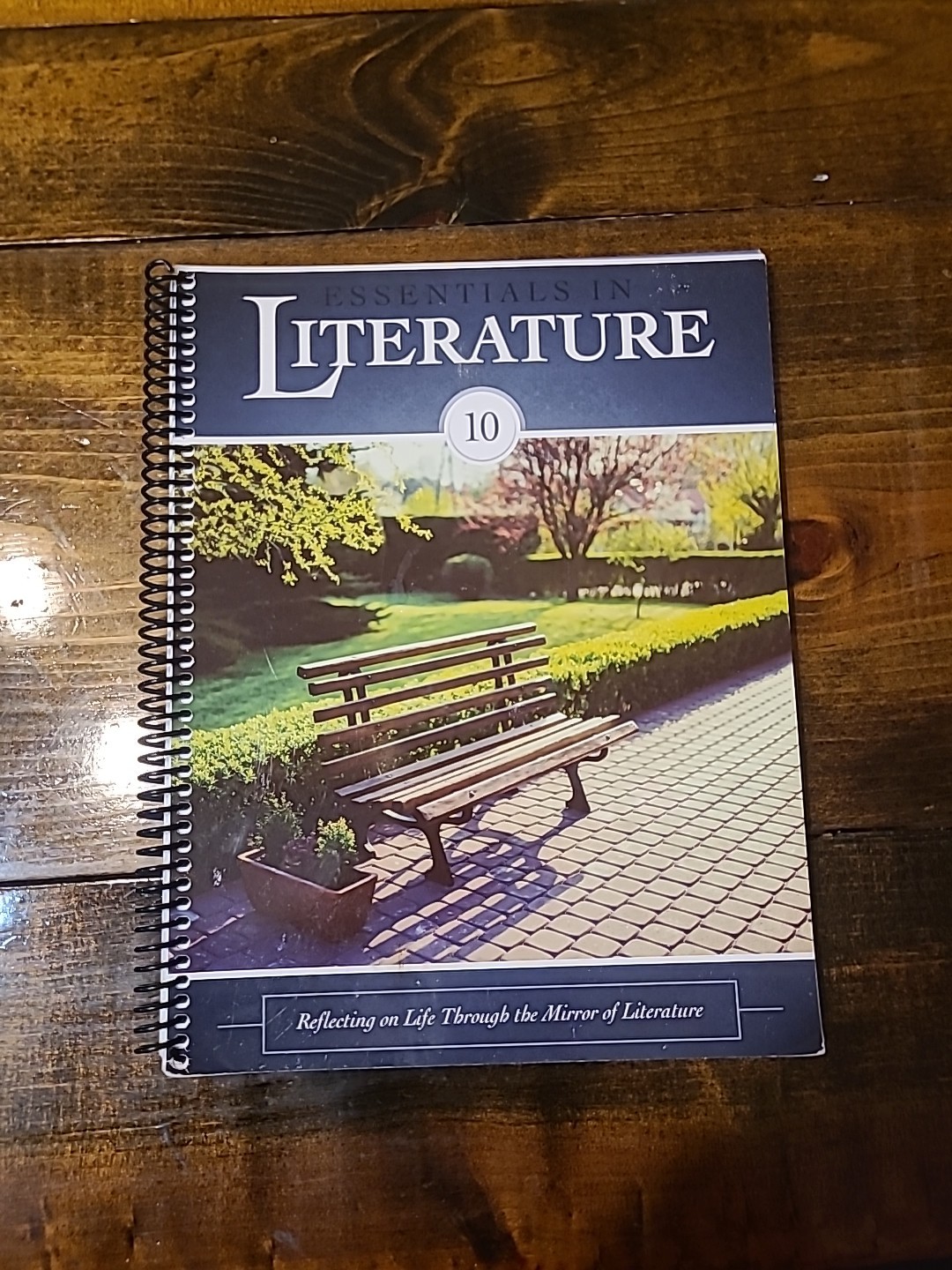 Essentials in Literature Level 10 Digital Textbook by Matthew Stephens