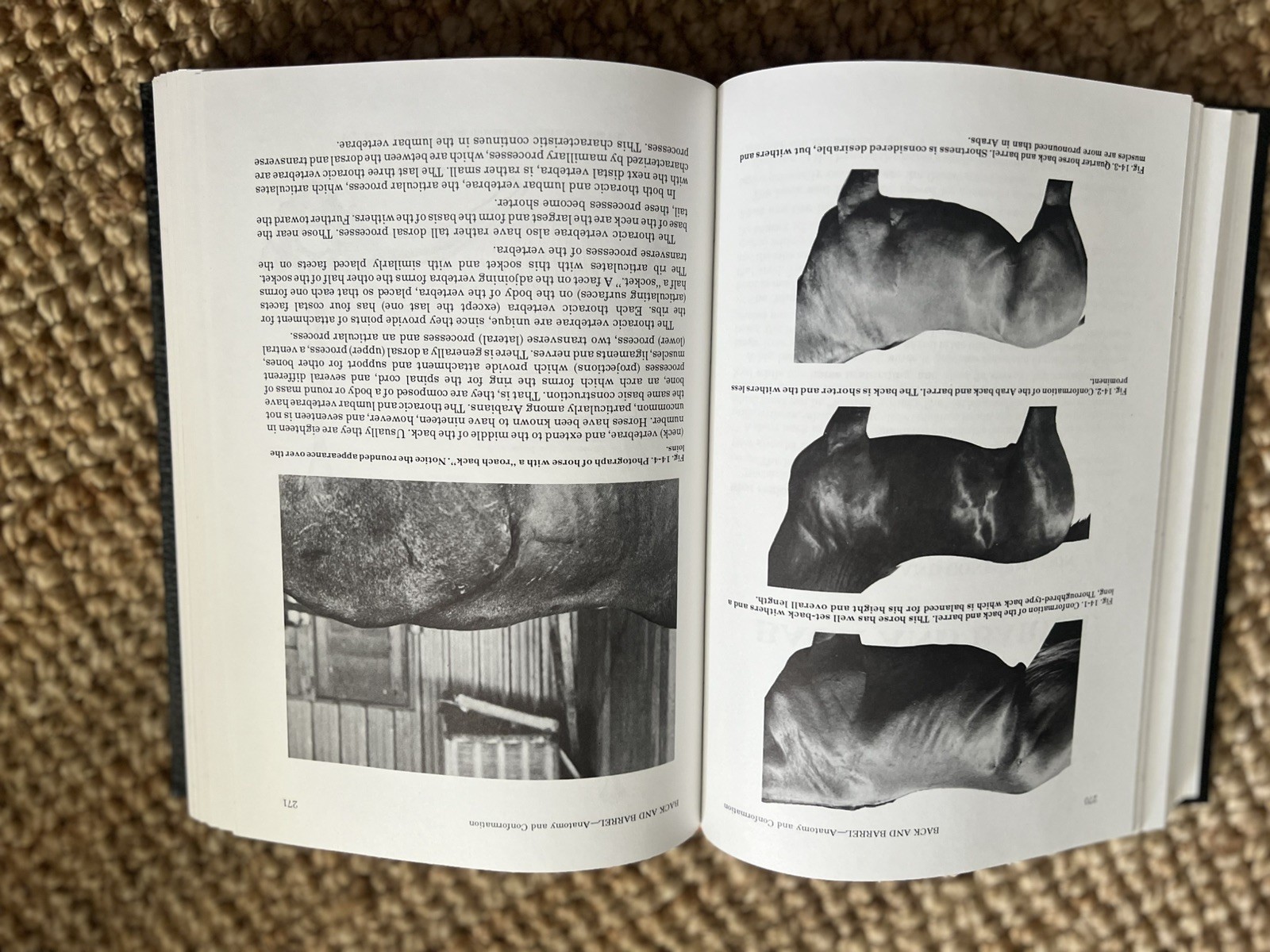 THE ILLUSTRATED VETERINARY ENCYCLOPEDIA FOR HORSEMEN