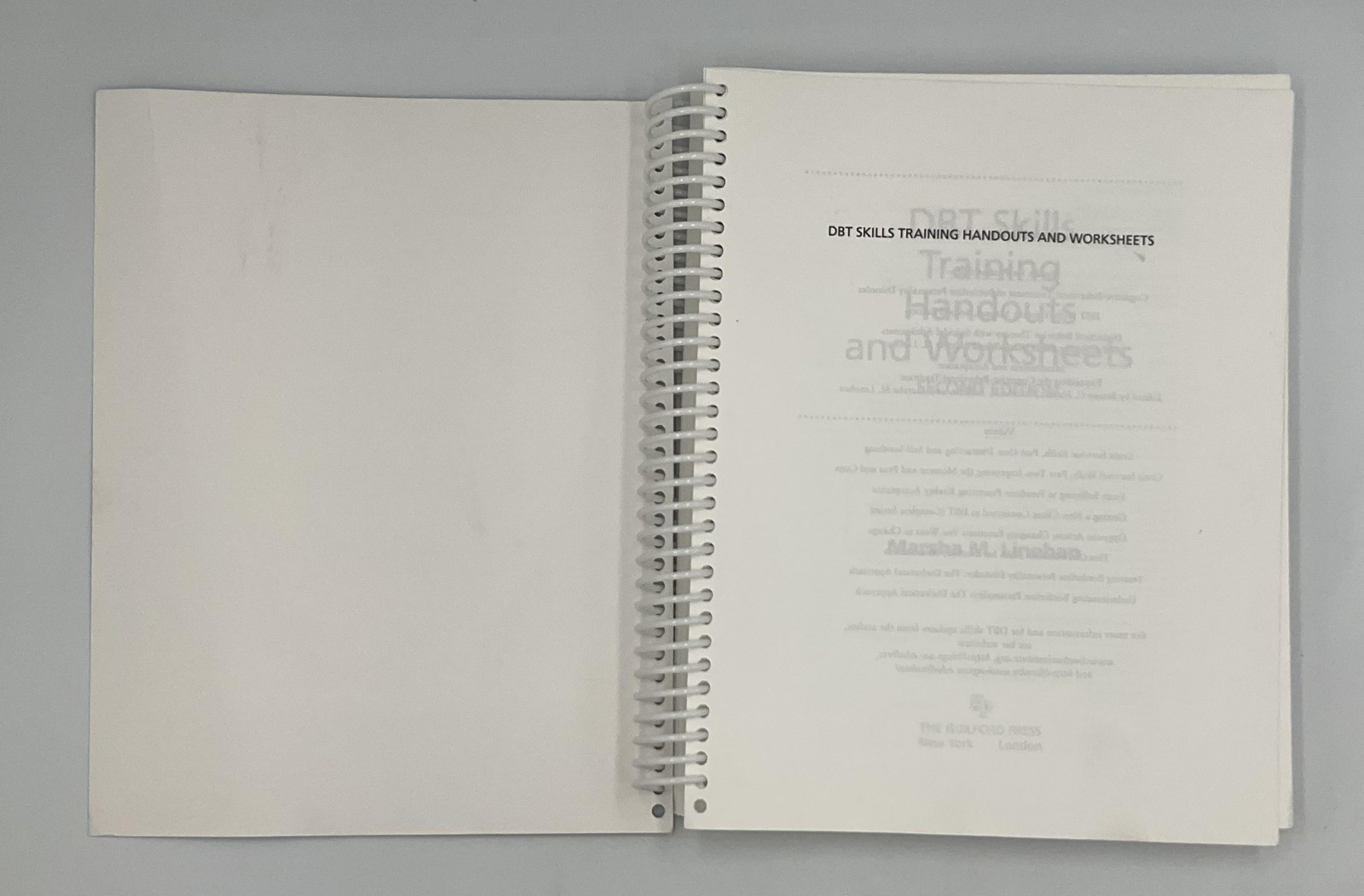 DBT Skills Training Handouts & Worksheets Marsha Linehan Guilford 8.5×11 Teal PB