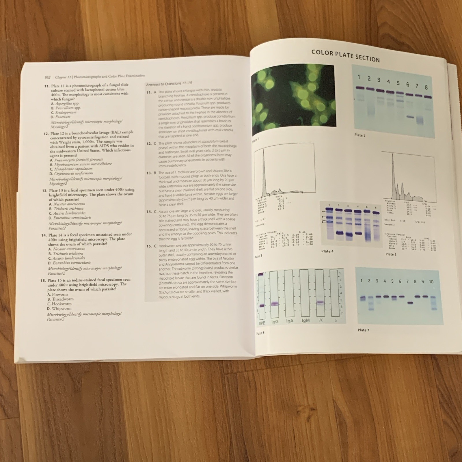 Medical Laboratory Science Review 5th Ed 2015 Paperback Harr F.A. Davis