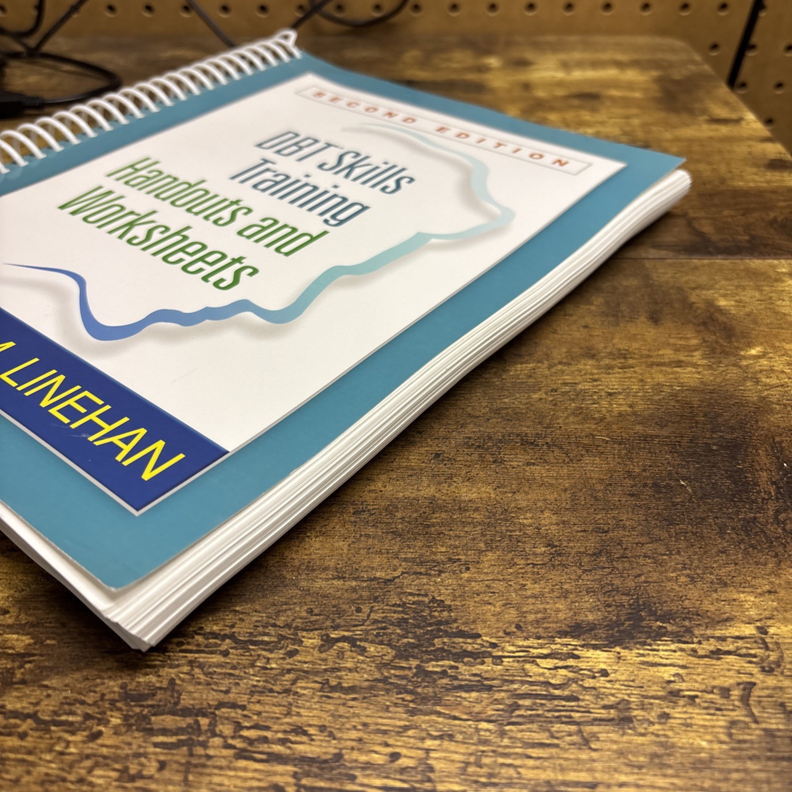 DBT Skills Training Handouts and Worksheets by Marsha M. Linehan (2014, Trade…