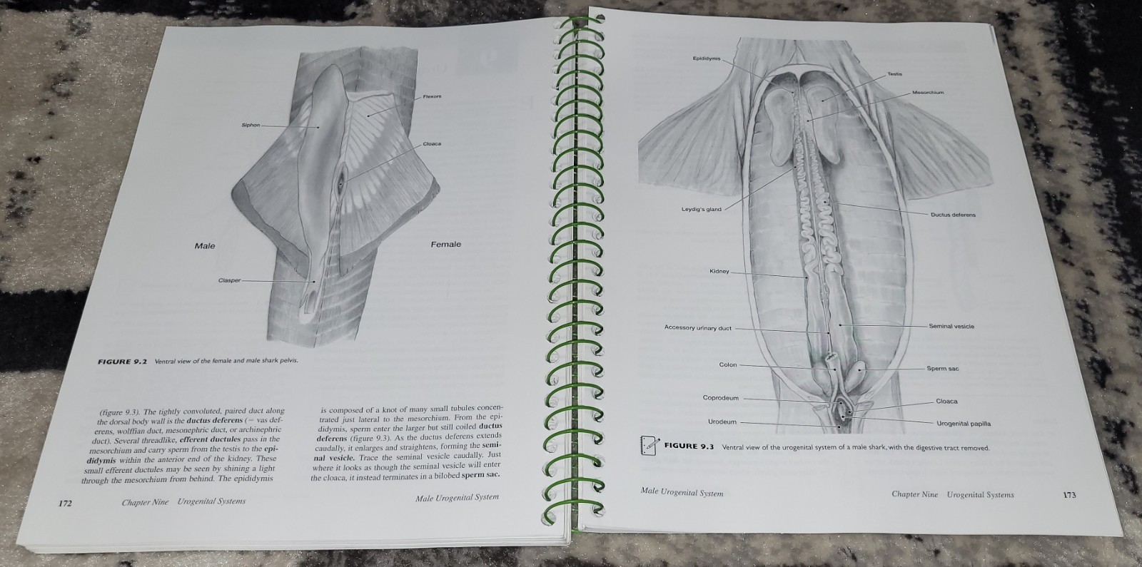 Vertebrates + Lab Dissection Manual