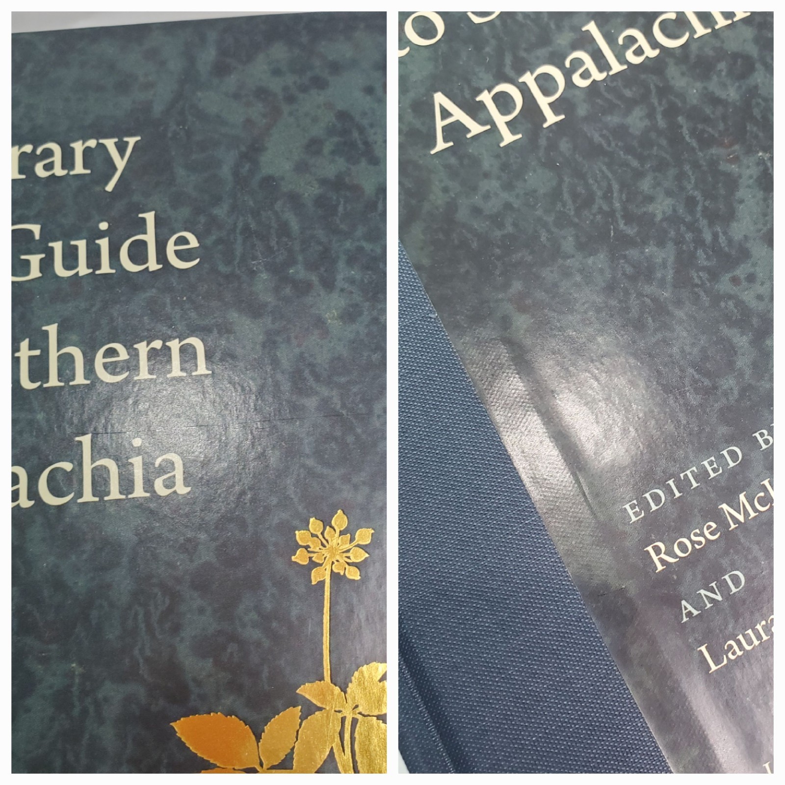 A Literary Field Guide to Southern Appalachia (Wormsloe Foundation Nature) HC
