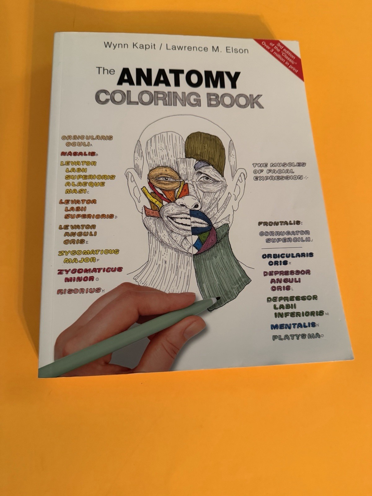 The Anatomy Coloring Book by Lawrence M. Elson Please Read Description