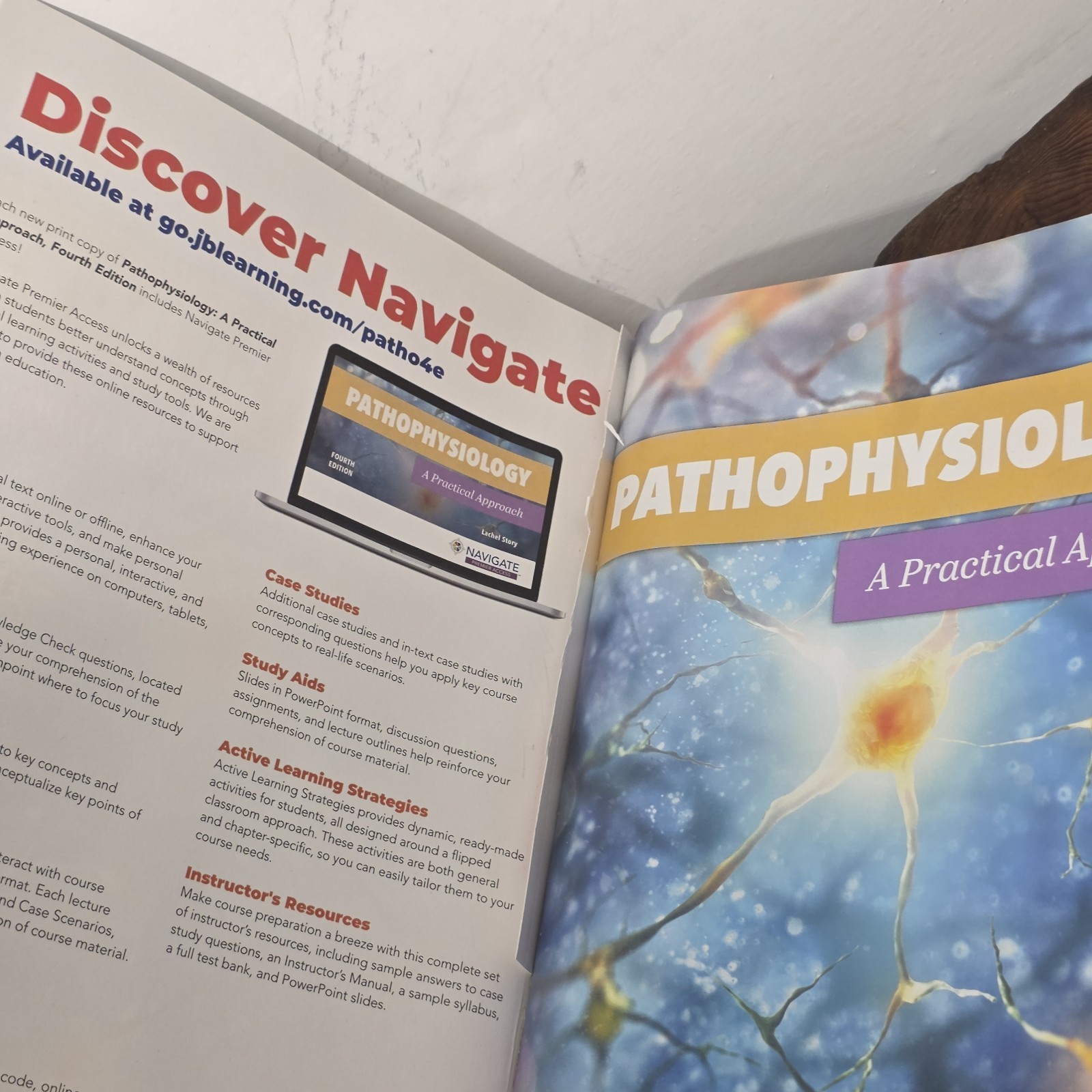 Pathophysiology : A Practical Approach by Lachel Story (2020, Trade Paperback)