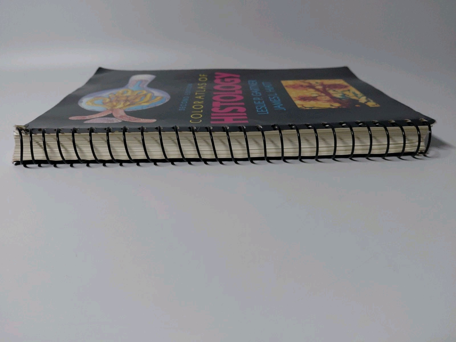 Color Atlas of Histology 1994 Paperback