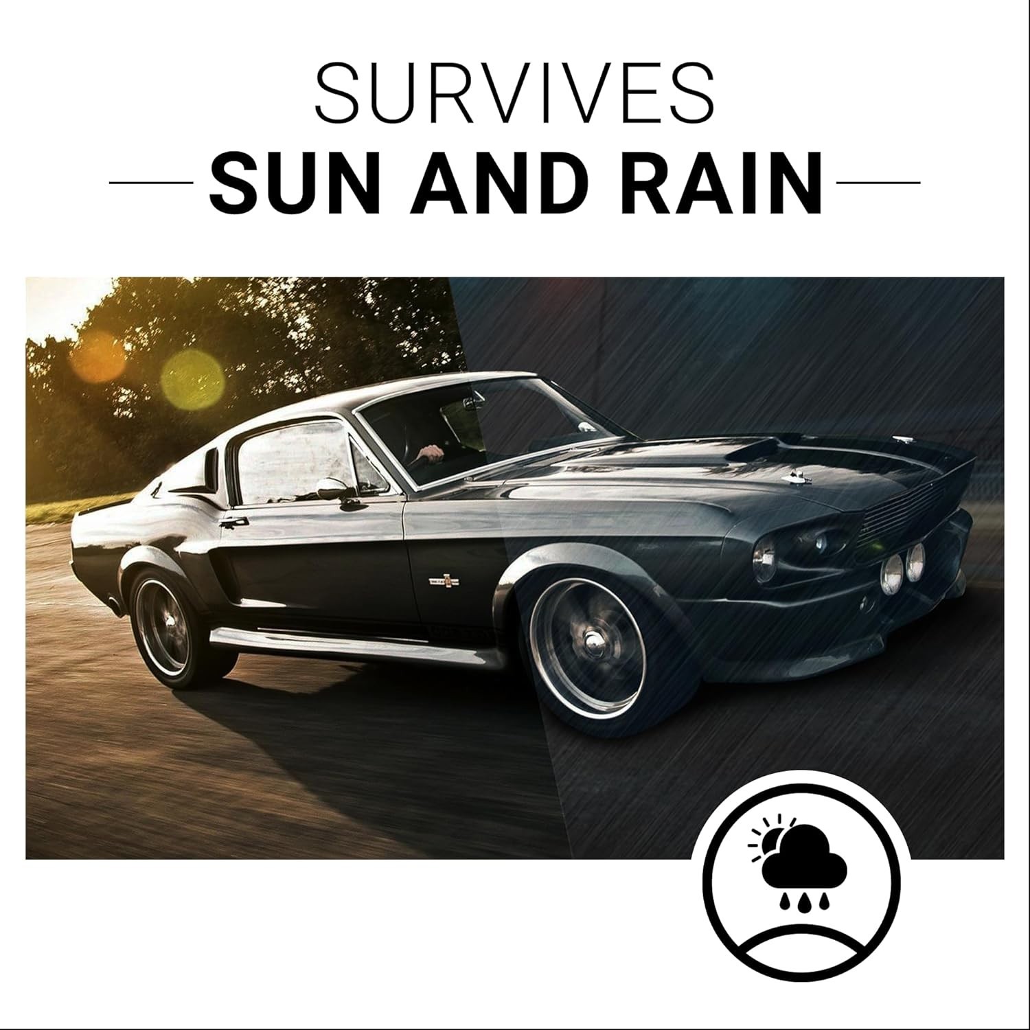 Luxury Plastic Restorer | 8 Oz Kit for Vinyl & Rubber | User-Friendly Detailing