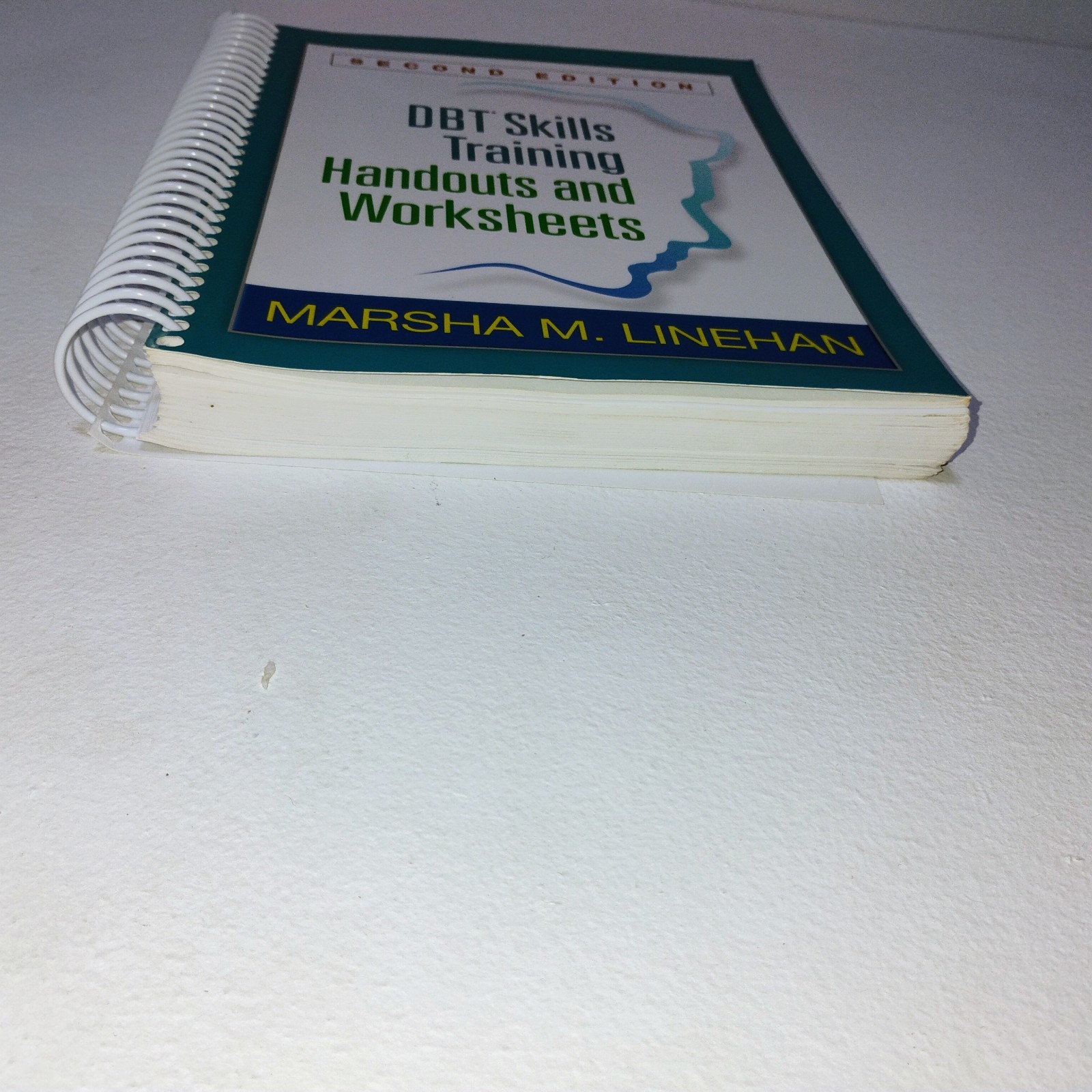 DBT Skills Training Handouts and Worksheets by Marsha M. Linehan (2014, Trade…