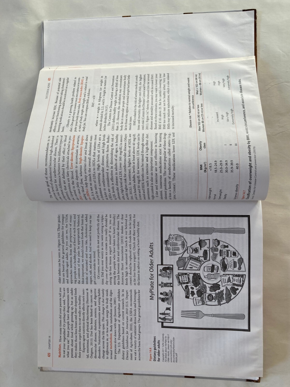 Adult Development and Aging by Fredda Blanchard-Fields & John C Cavanaugh 7e