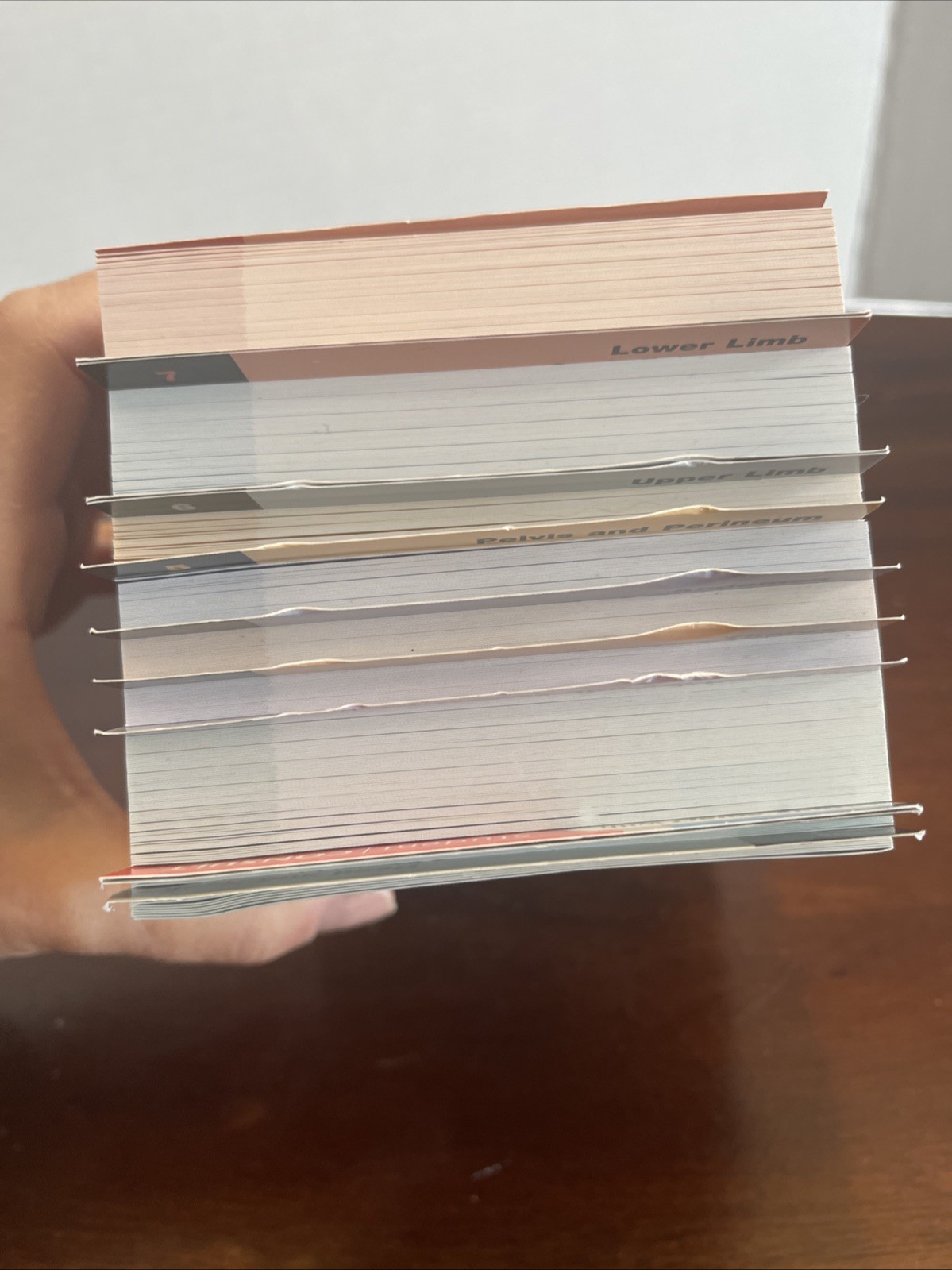 Netter Basic Science Ser.: Netter’s Anatomy Flash Cards : With Online Student…