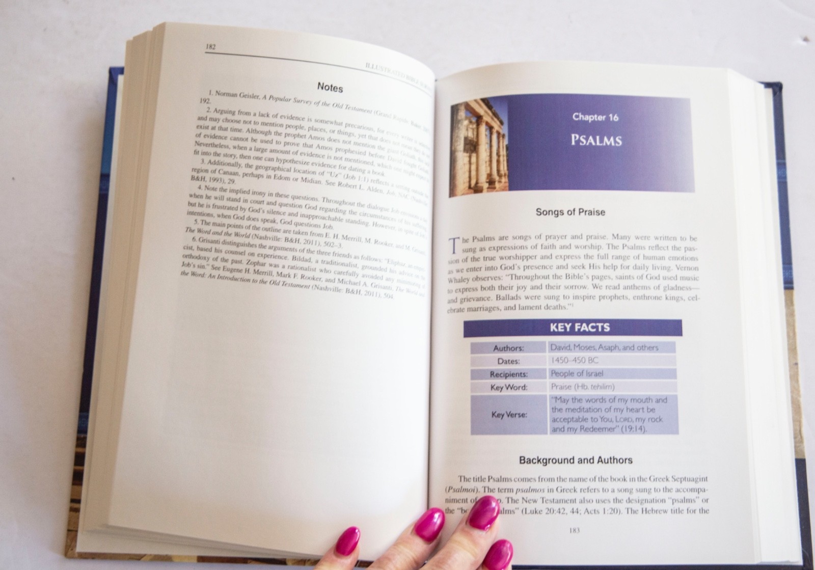 Illustrated Bible Survey: An Introduction – Hardcover By Hindson, Ed-LN