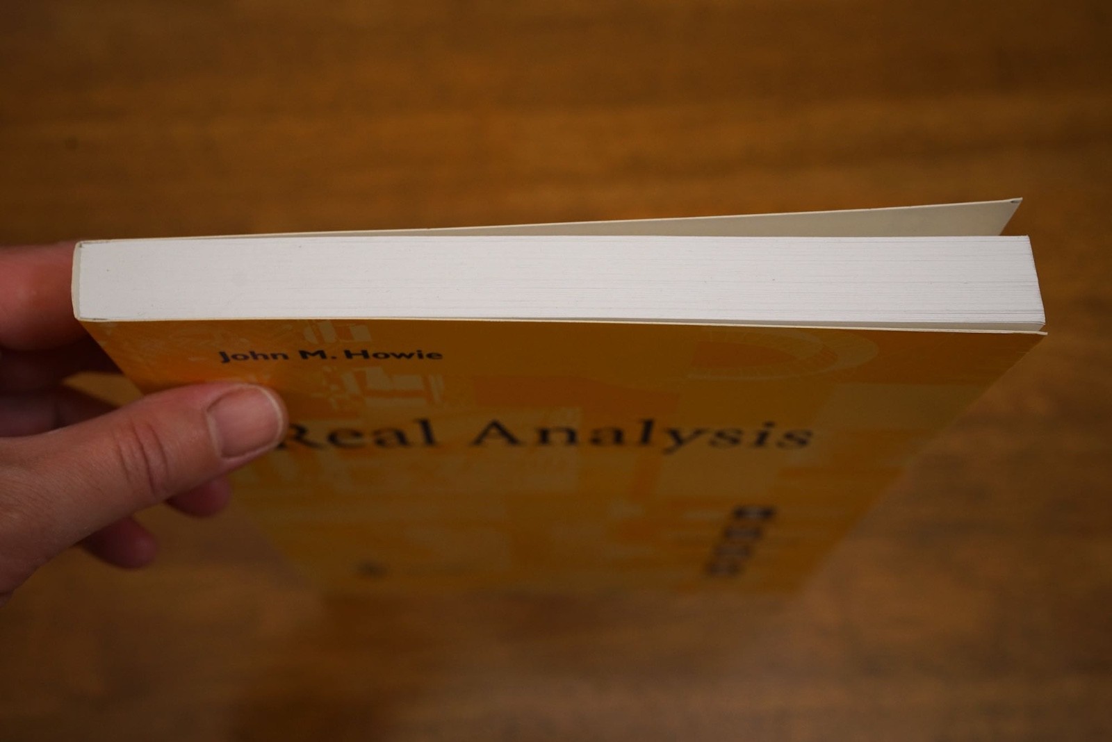 MATHS – Springer – Real Analysis by John M. Howie – Excellent condition PB