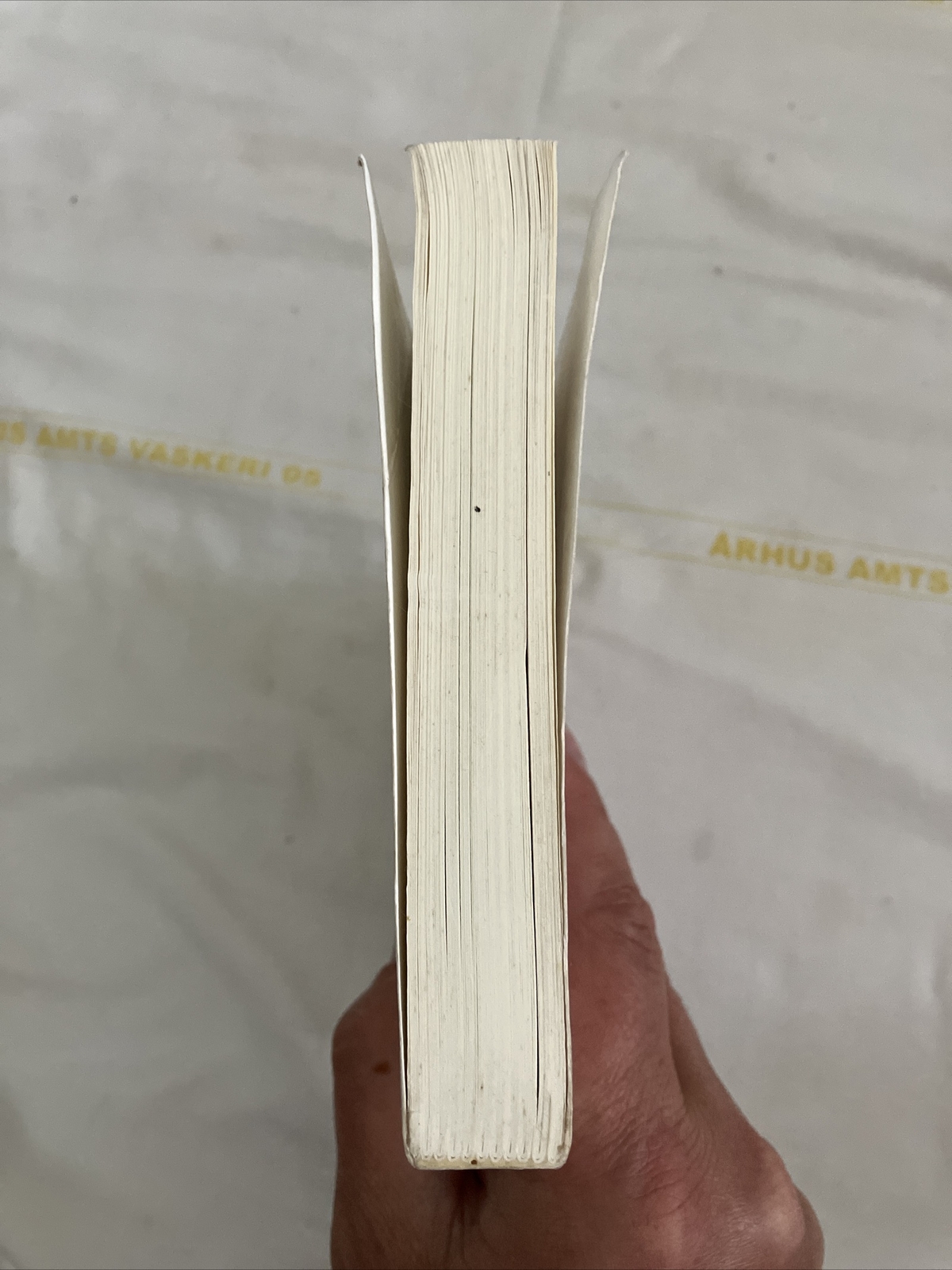 History of Lan Na Thailand Sarassawadee Ongsakul 2005 Paperback Book