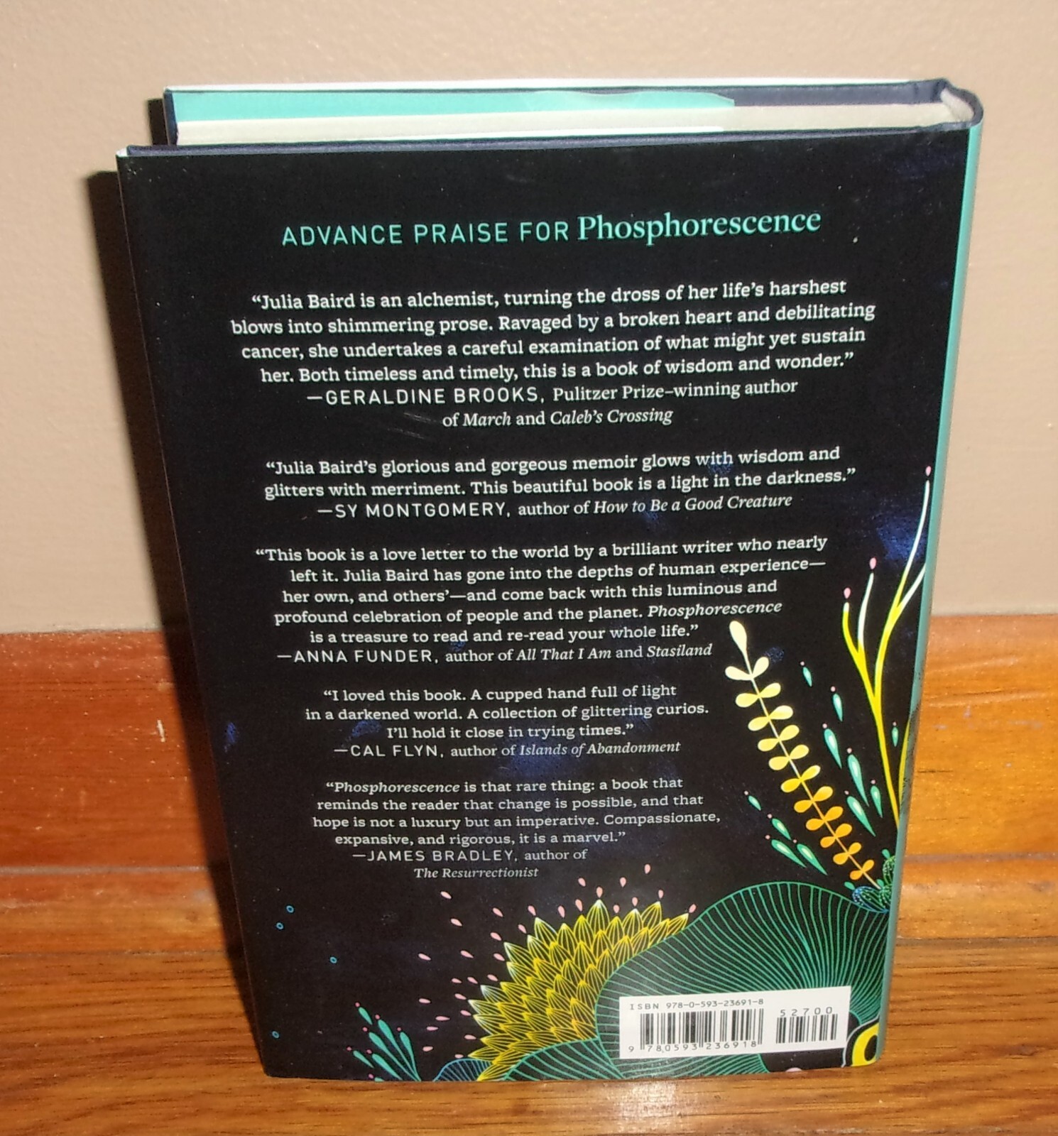 PHOSPHORESCENCE-Memoir of Finding Joy When Your World Goes Dark-SUPERB 1st HC DJ