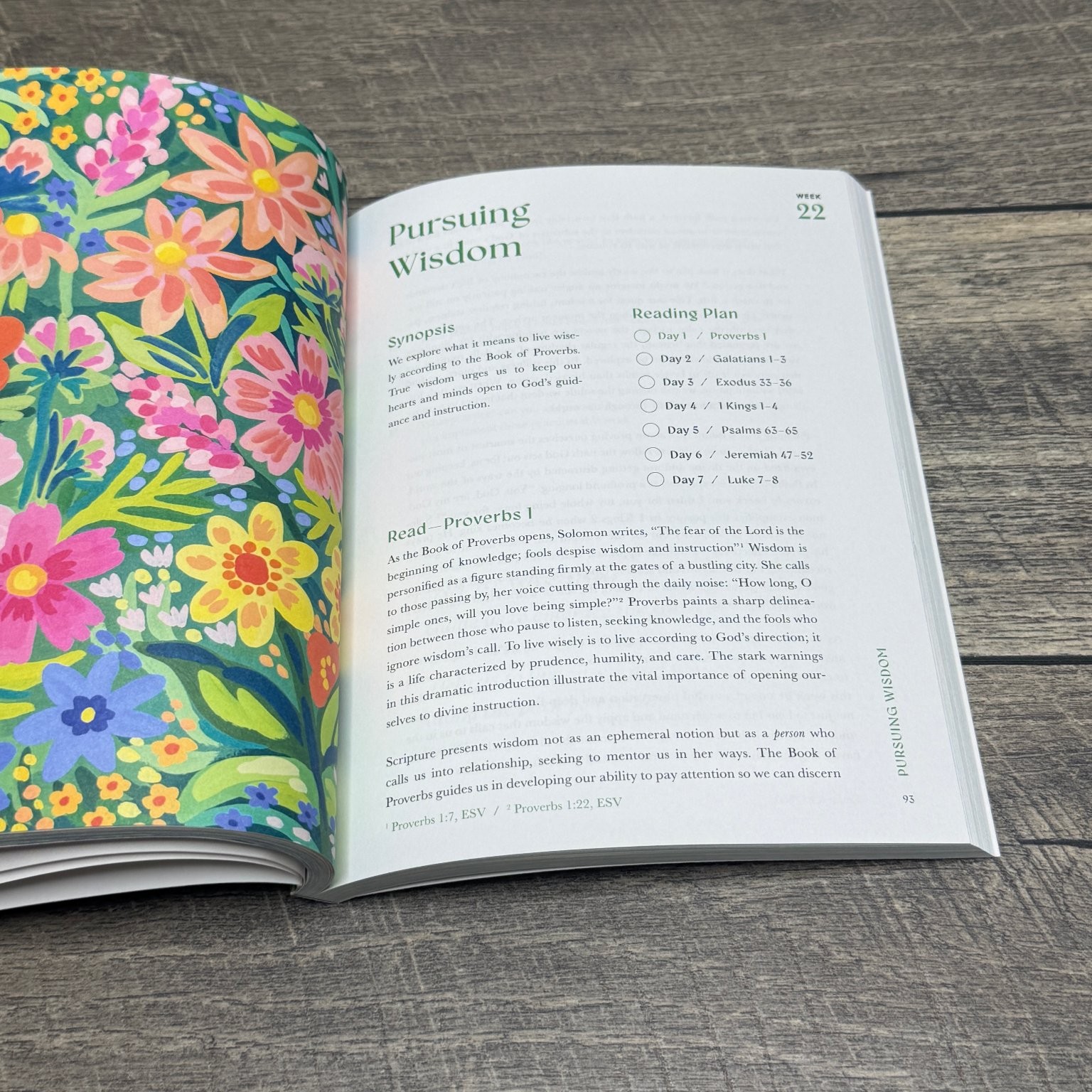 A Beautiful Year in the Bible Alabaster Creative Inc. 2024 52-Week Bible Study
