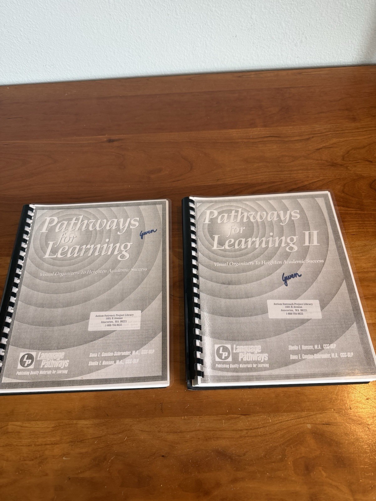 Set: Linguisystems Pathways for Learning Visual Organizers for Academic Success