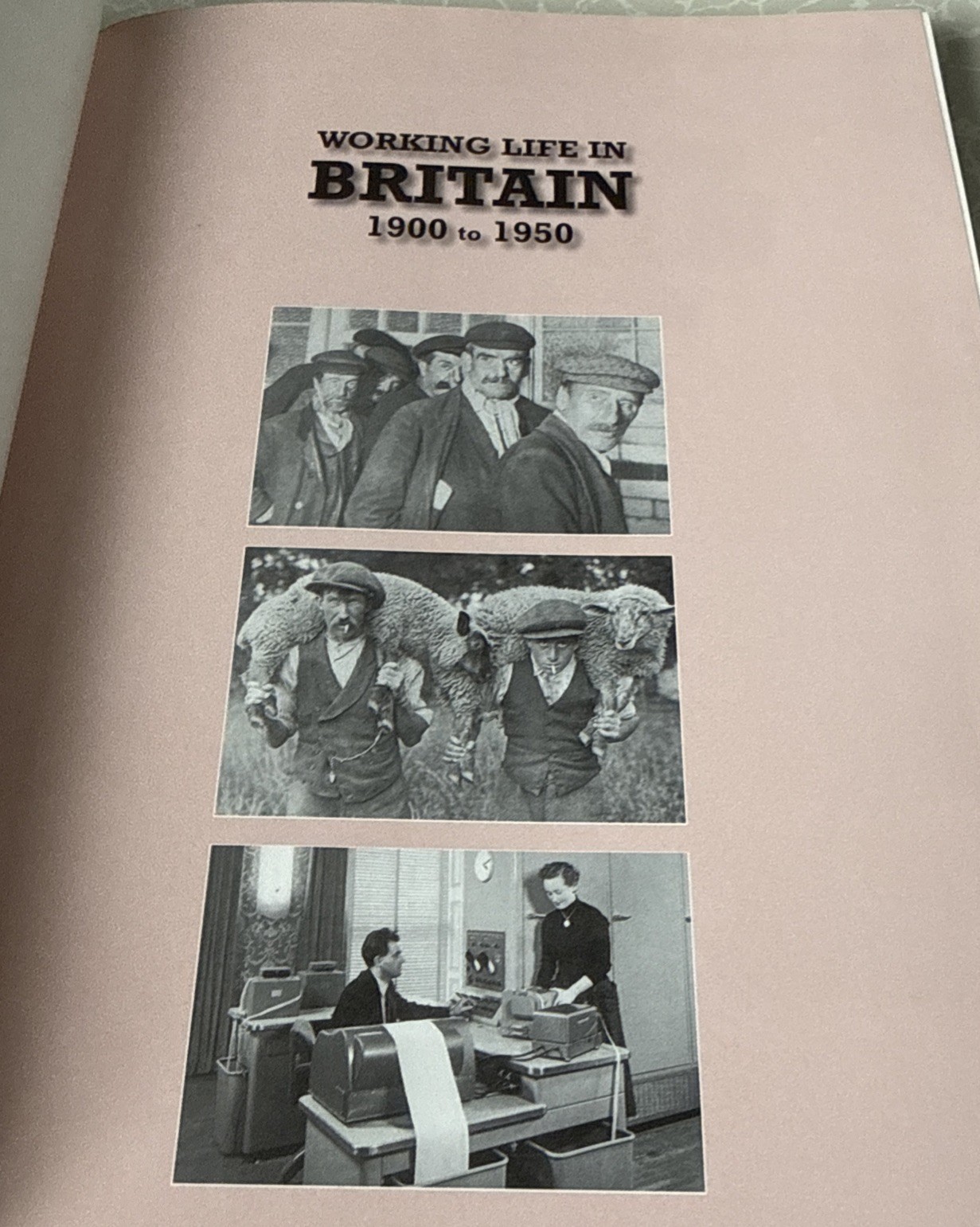 Working Life In Britain by Janice Anderson (Hardcover, 2007). 192 Pages Like New