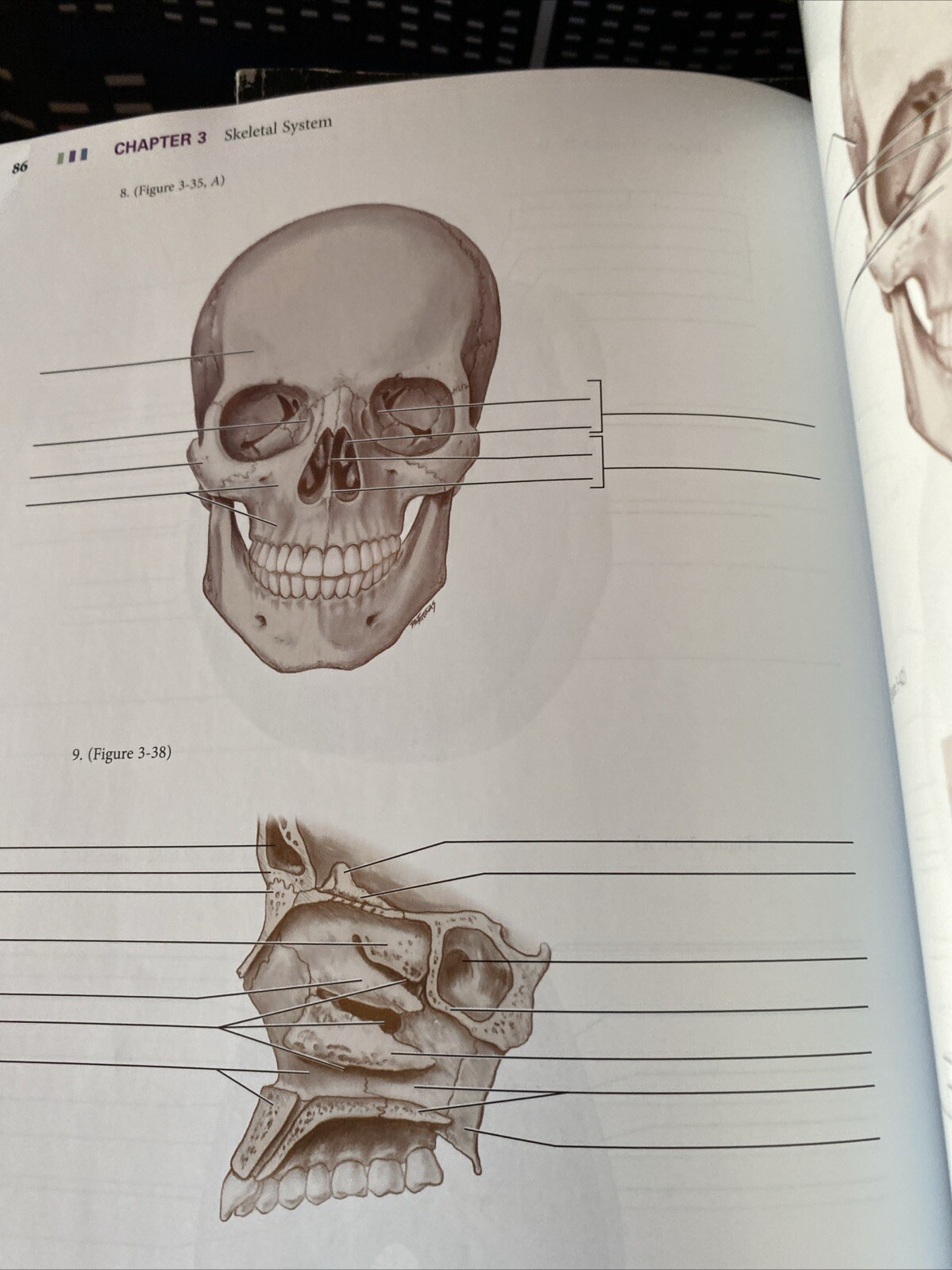 Illustrated Anatomy of the Head and Neck by Margaret J. Fehrenbach and Susan W.