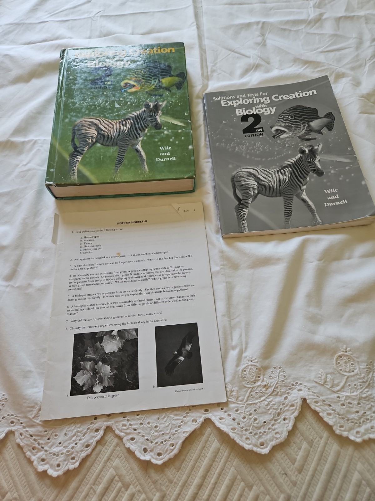 Apologia Exploring Creation With Biology 3 Book Set 2nd Edition (I)