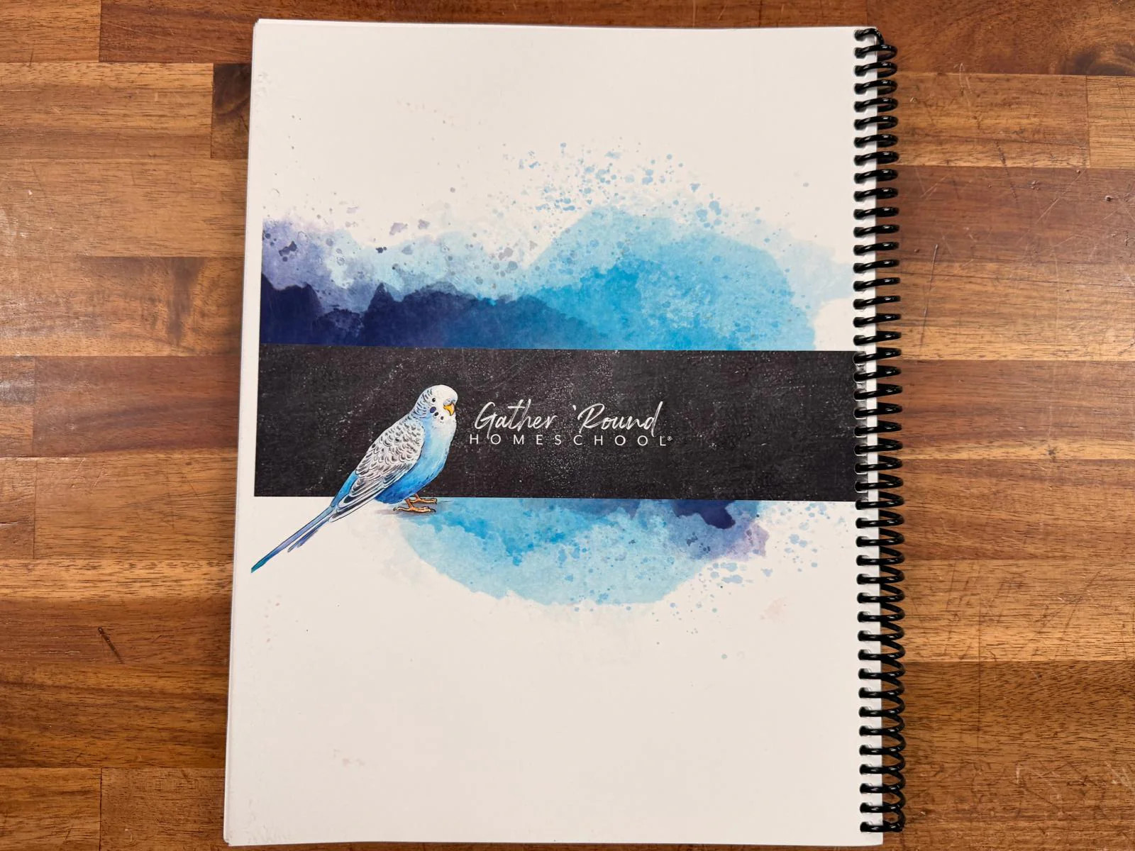 Gathering ‘Round Teacher’s Guide – Pets