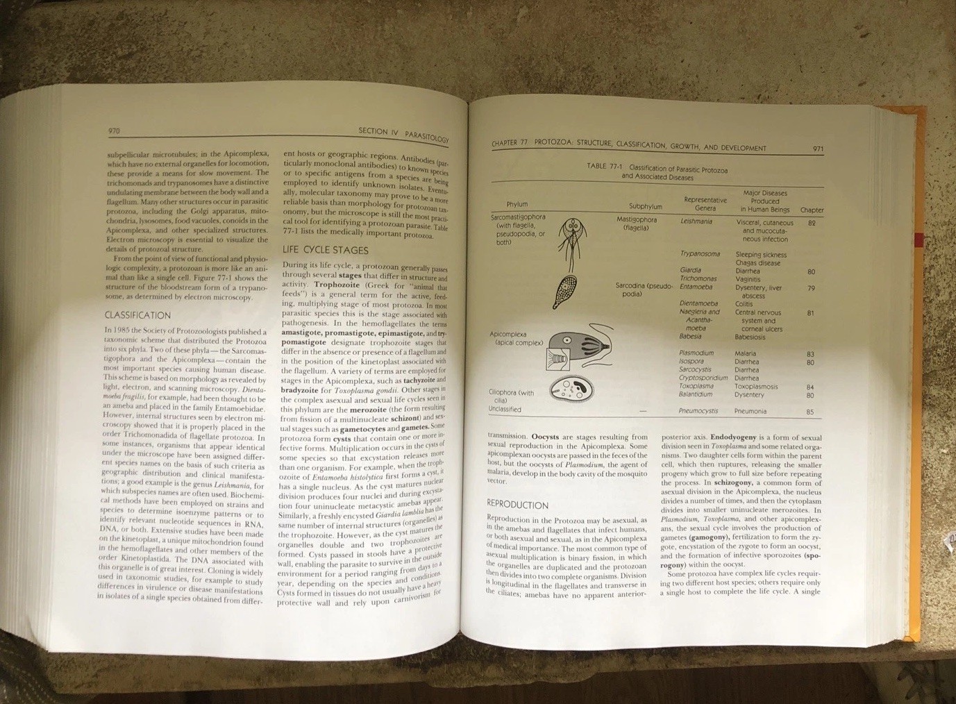 Medical Microbiology Textbook University Samuel Baron 3rd Edition 1991 Hardcover