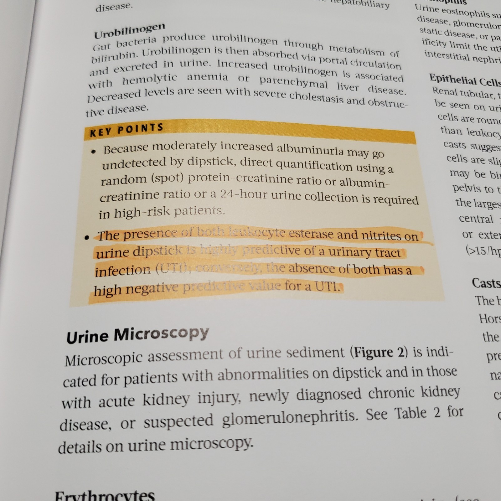 ACP MKSAP 19 Nephrology Internal Renal Medical Board Review Self Study Book
