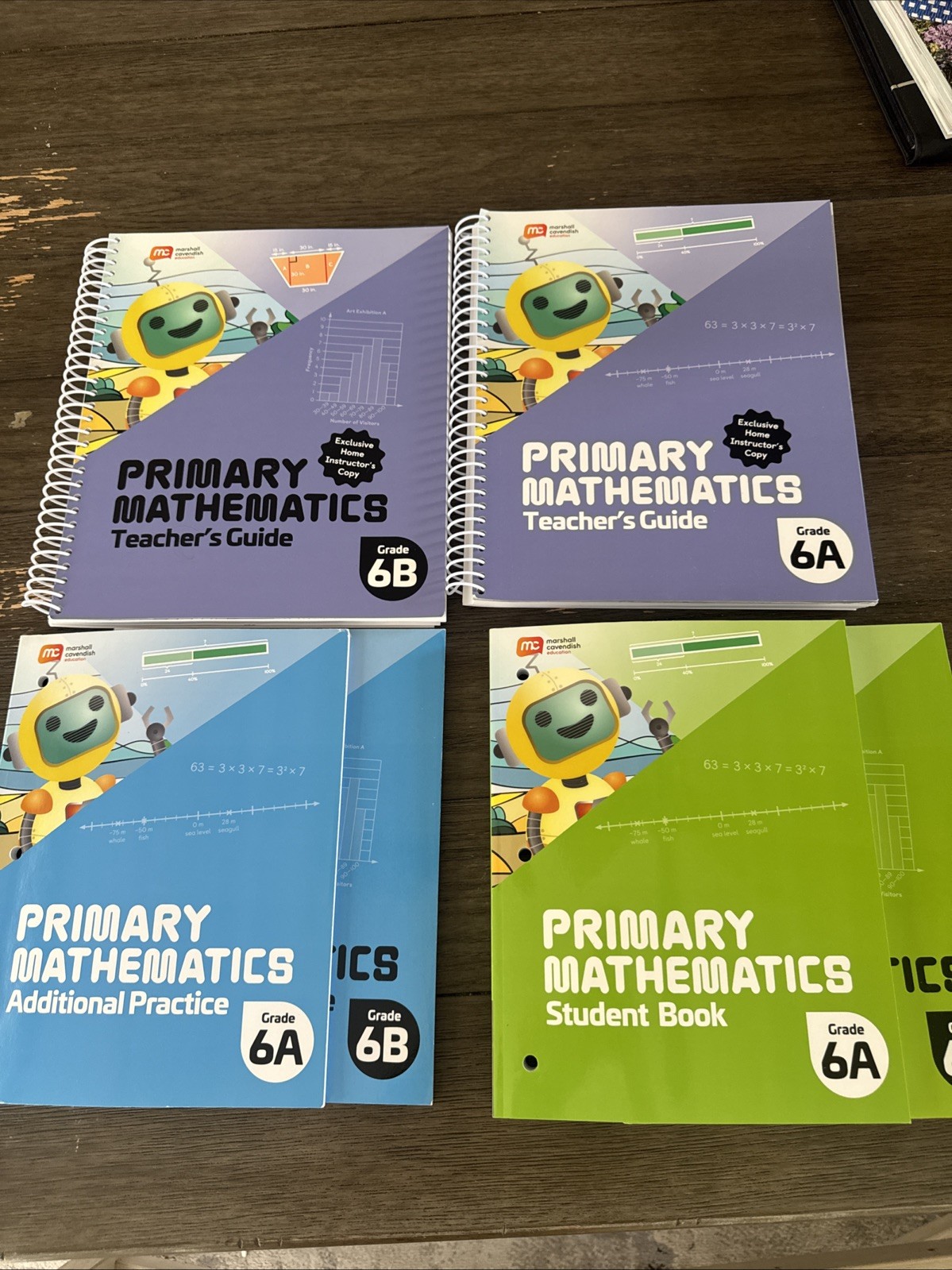NEW Primary Mathematics Teacher’s Guide Grade 6A 6b student book Math Curriculum