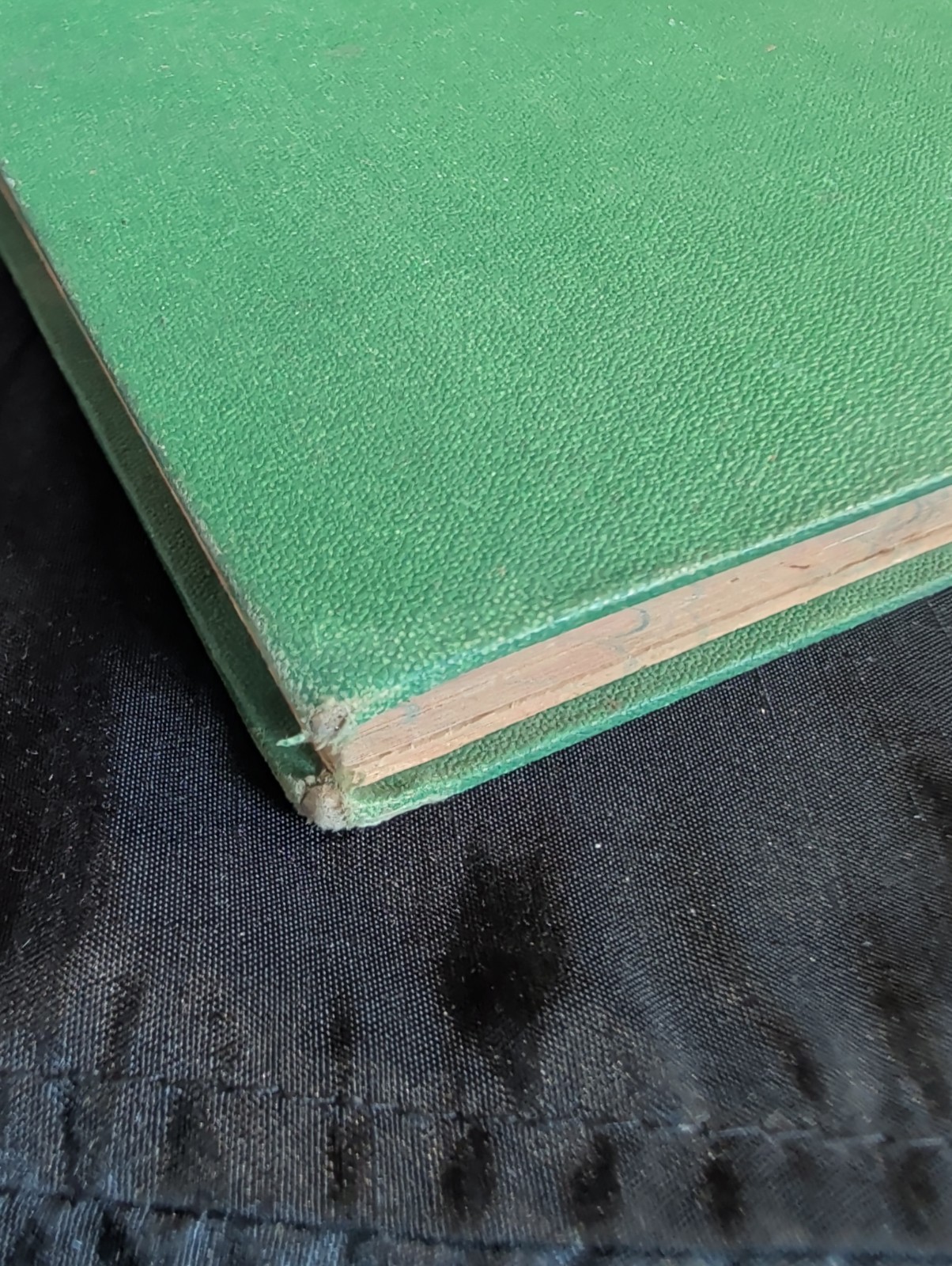 1872 First Book of Botany by Eliza A Youmans, Illustrated Hardcover 202 pages