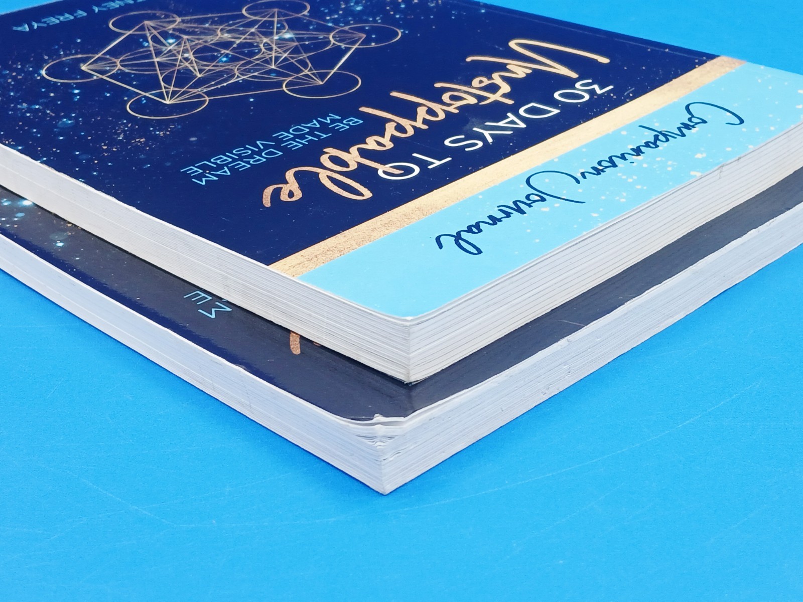 30 Days to Unstoppable: Be the Dream Made Visible + Companion Journal Book…