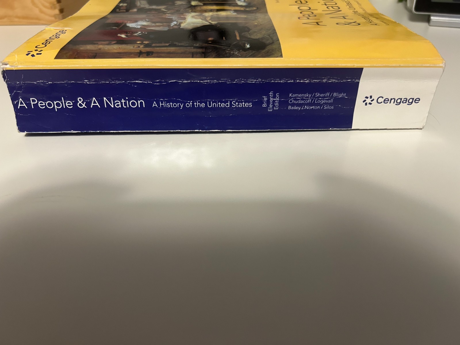 A People and a Nation : A History of the United States, Brief Eleventh Edition