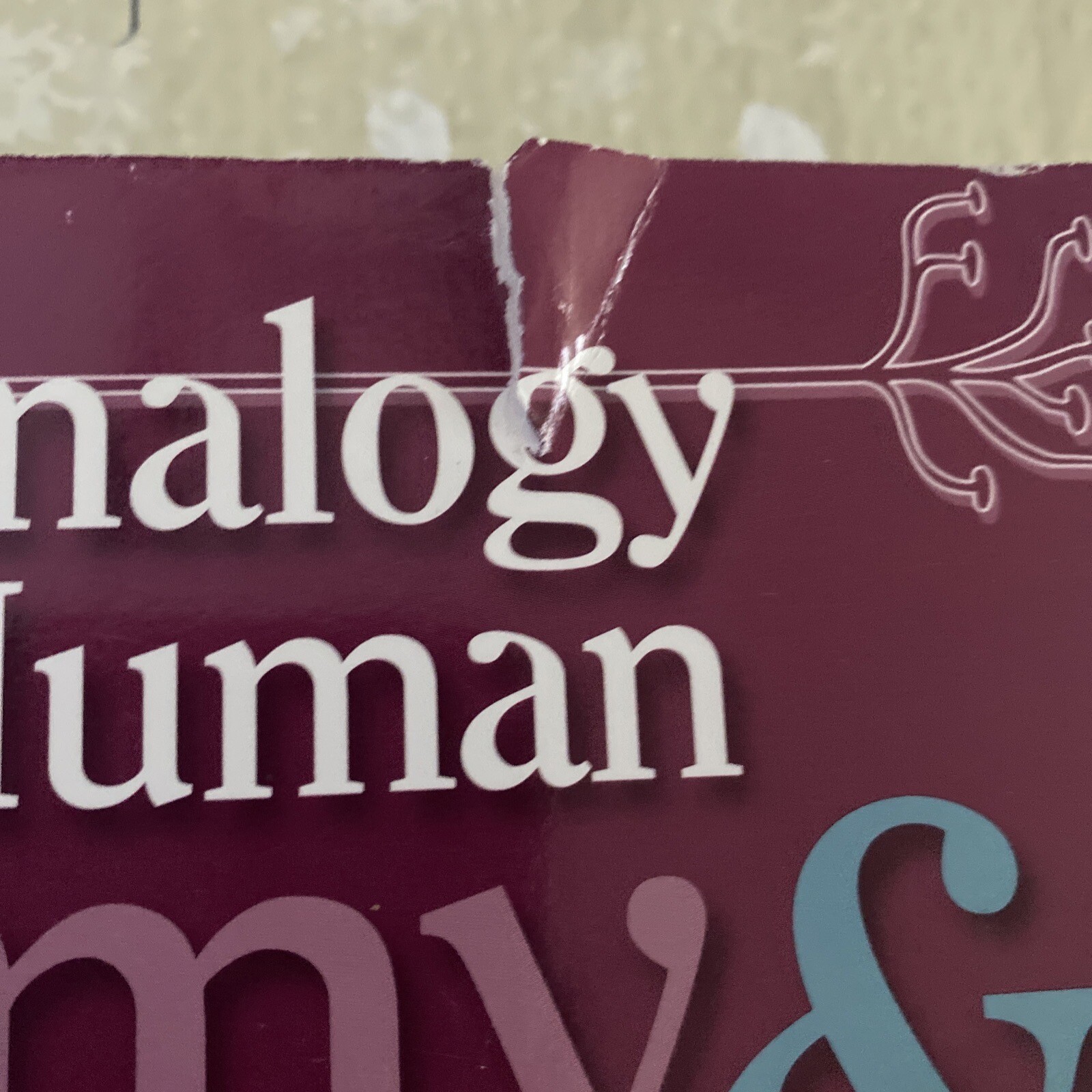 A Visual Analogy Guide to Human Anatomy 2nd edition Krieger, Paul A