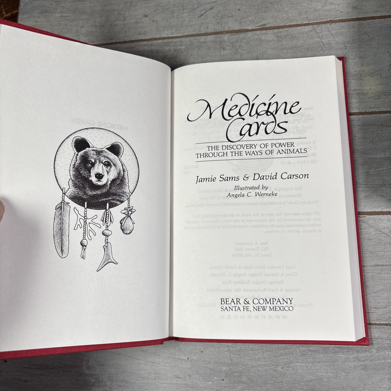 Medicine Cards Book & Card Deck SET by David Carson and Jamie Sams Revised 1988