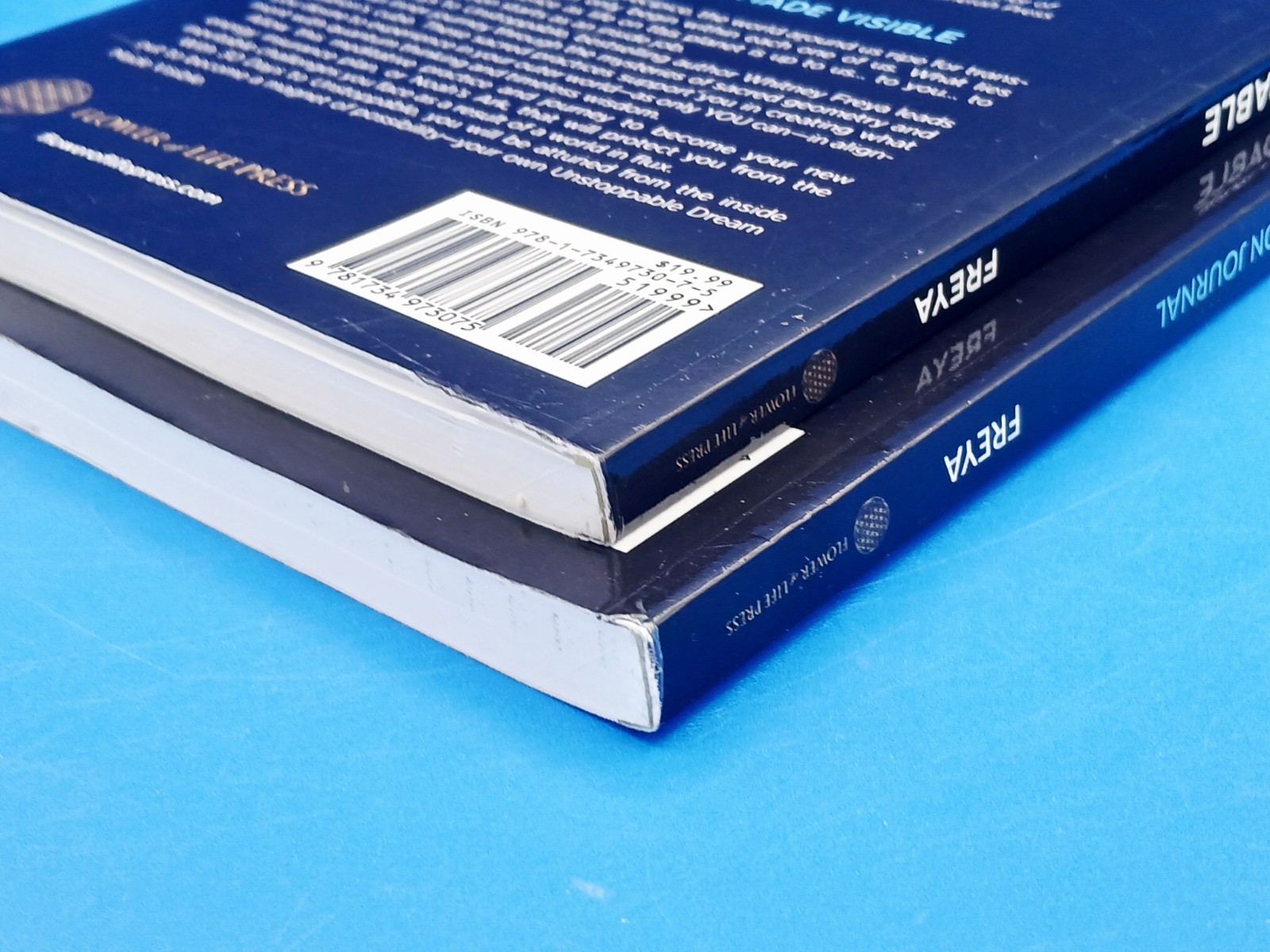 30 Days to Unstoppable: Be the Dream Made Visible + Companion Journal Book…